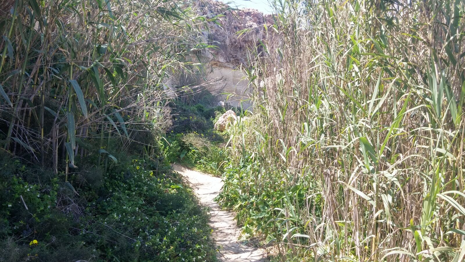 LG D855 sample photo. Malta hiking road golden photography