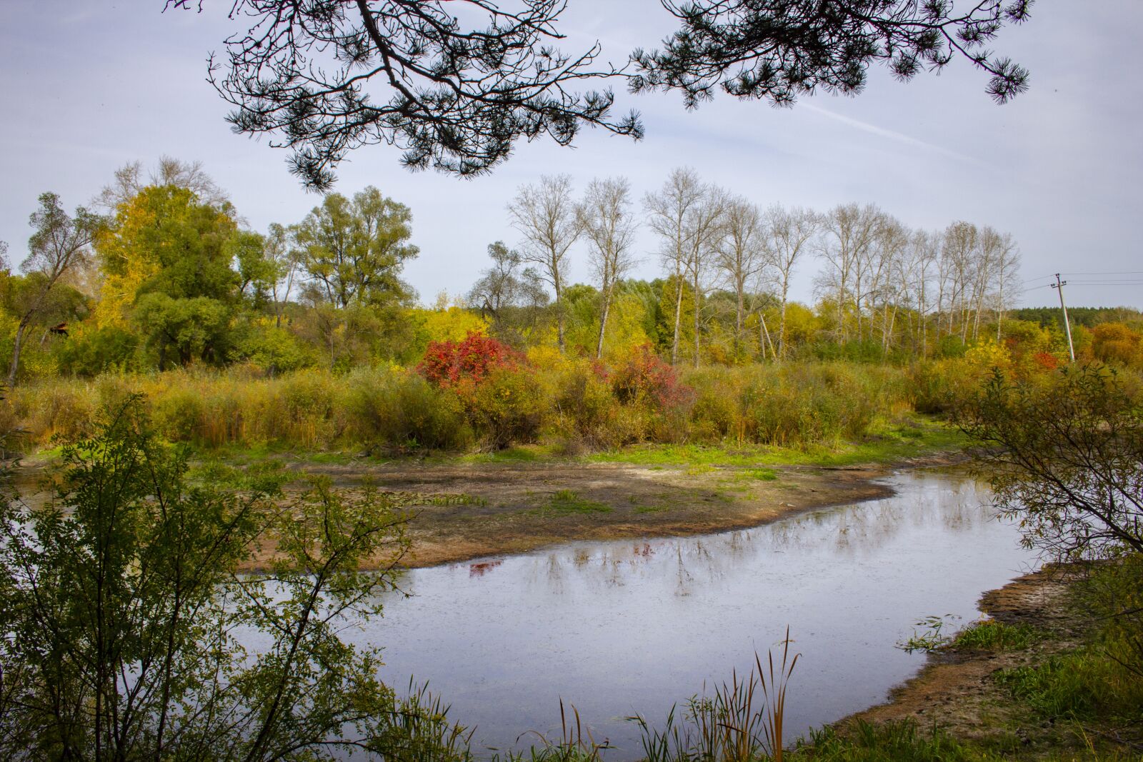 Canon EOS 60D sample photo. Autumn, lake, trees photography