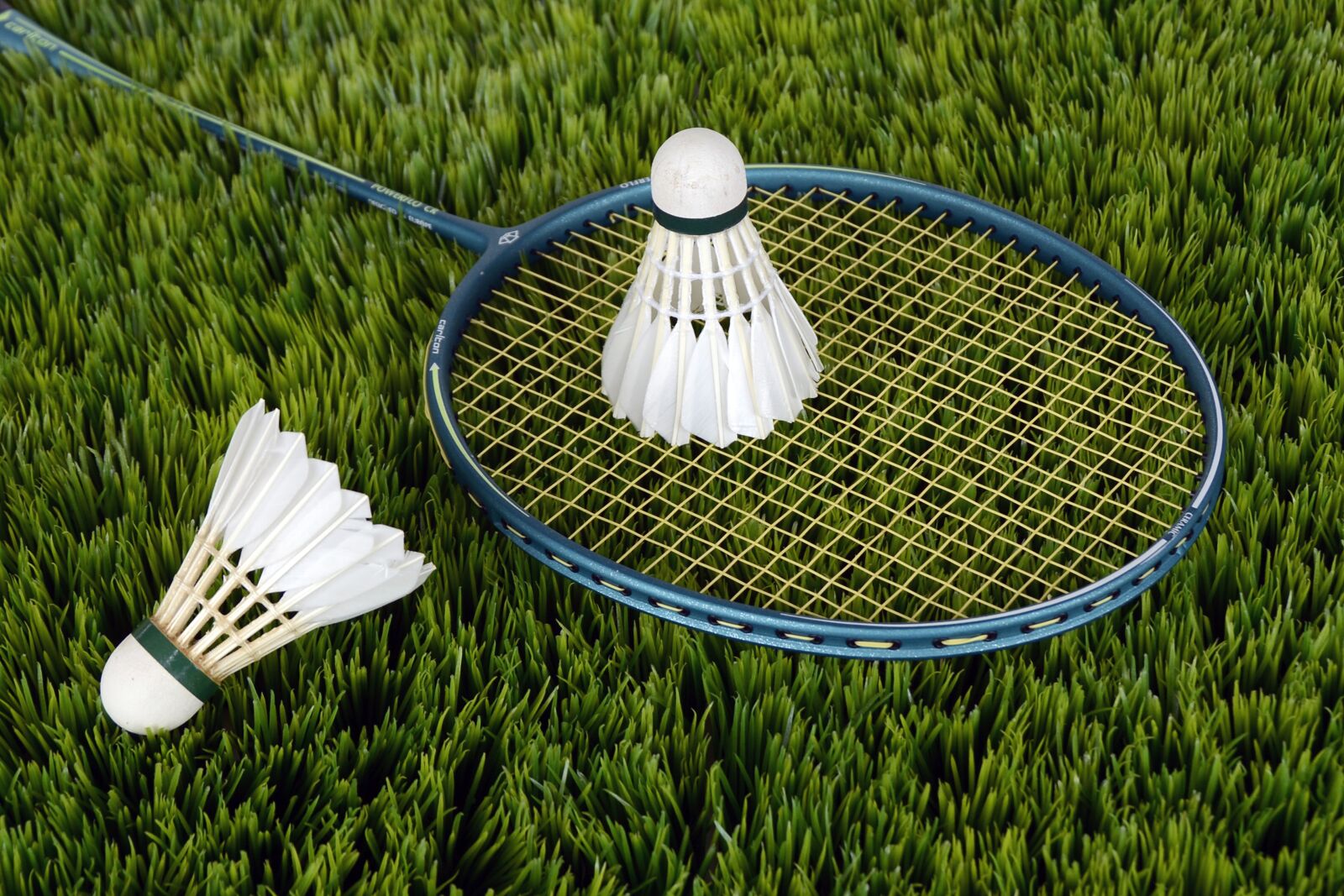 Nikon D7100 sample photo. Badminton, sport, bat photography