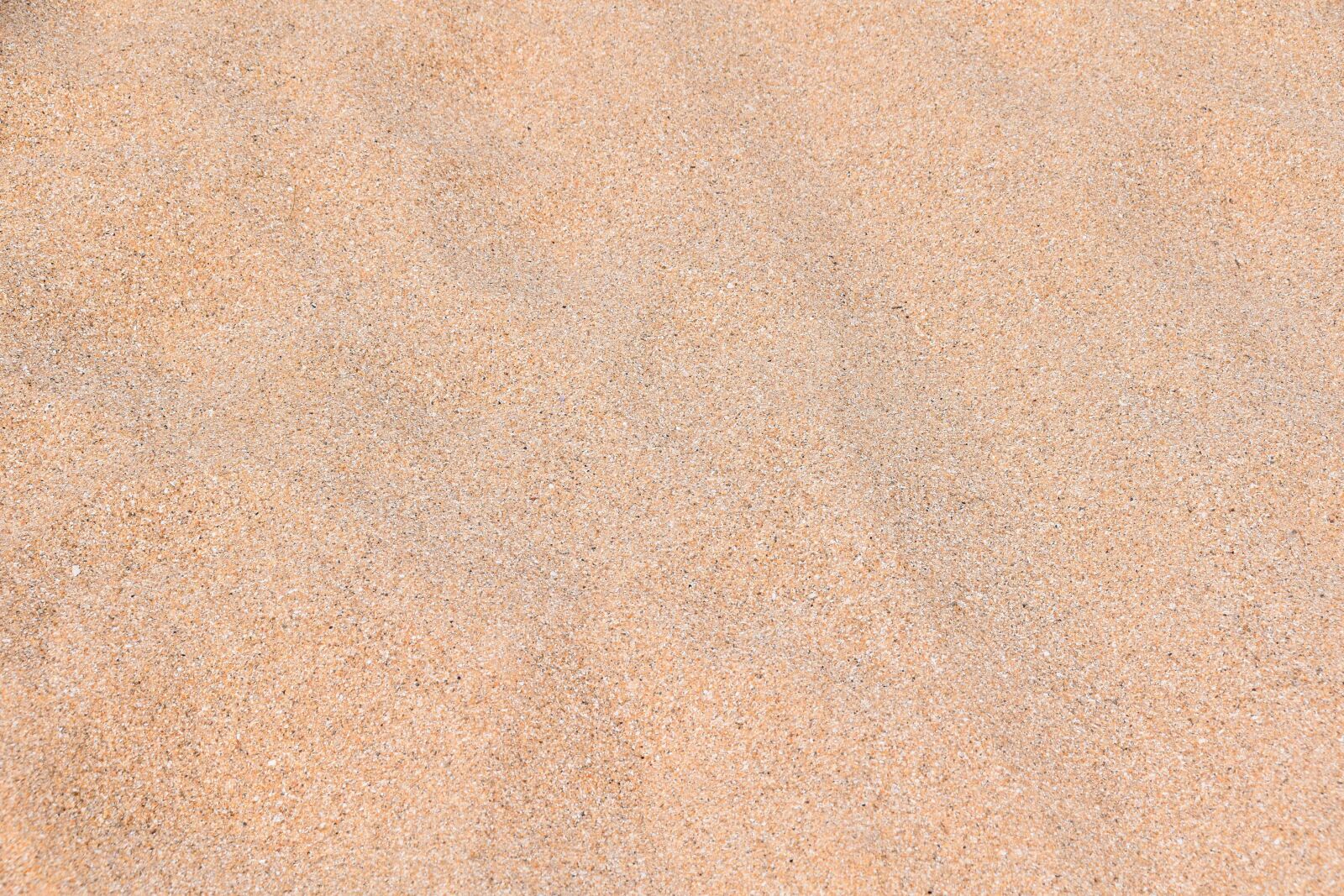 Nikon D5600 sample photo. Sand, fine sand, sandy photography