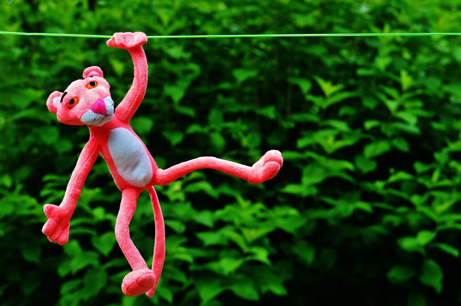 Nikon D3200 sample photo. Hang out, soft toy photography