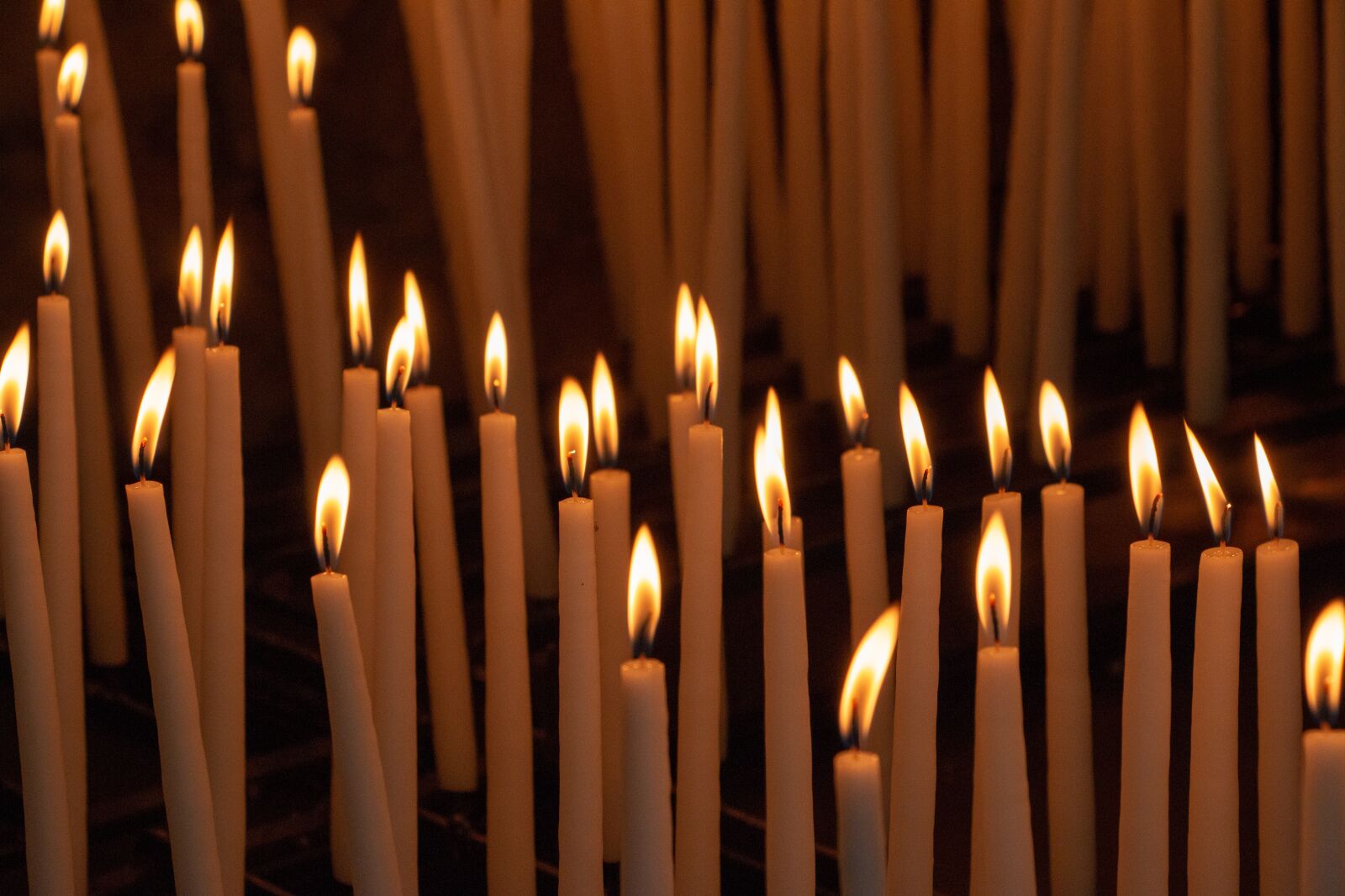 Canon EOS 70D sample photo. Candles, pilgrimage, maria photography