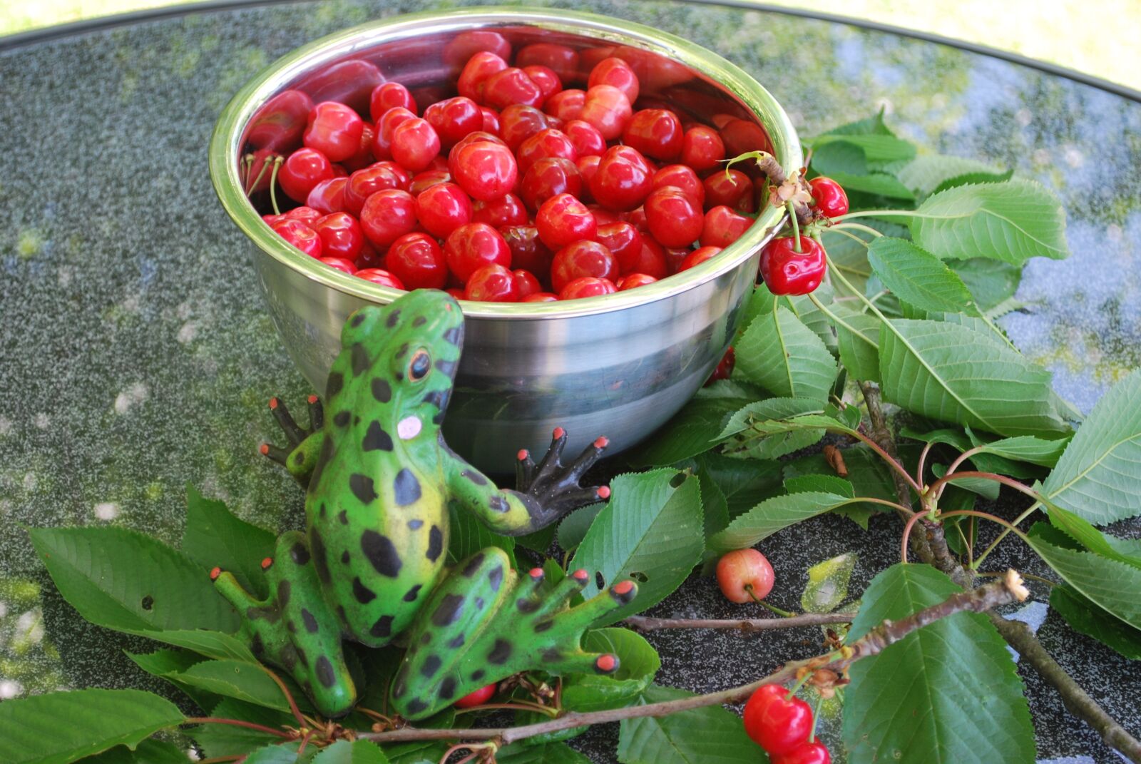 Nikon D60 sample photo. Cherries, nature, fruits photography