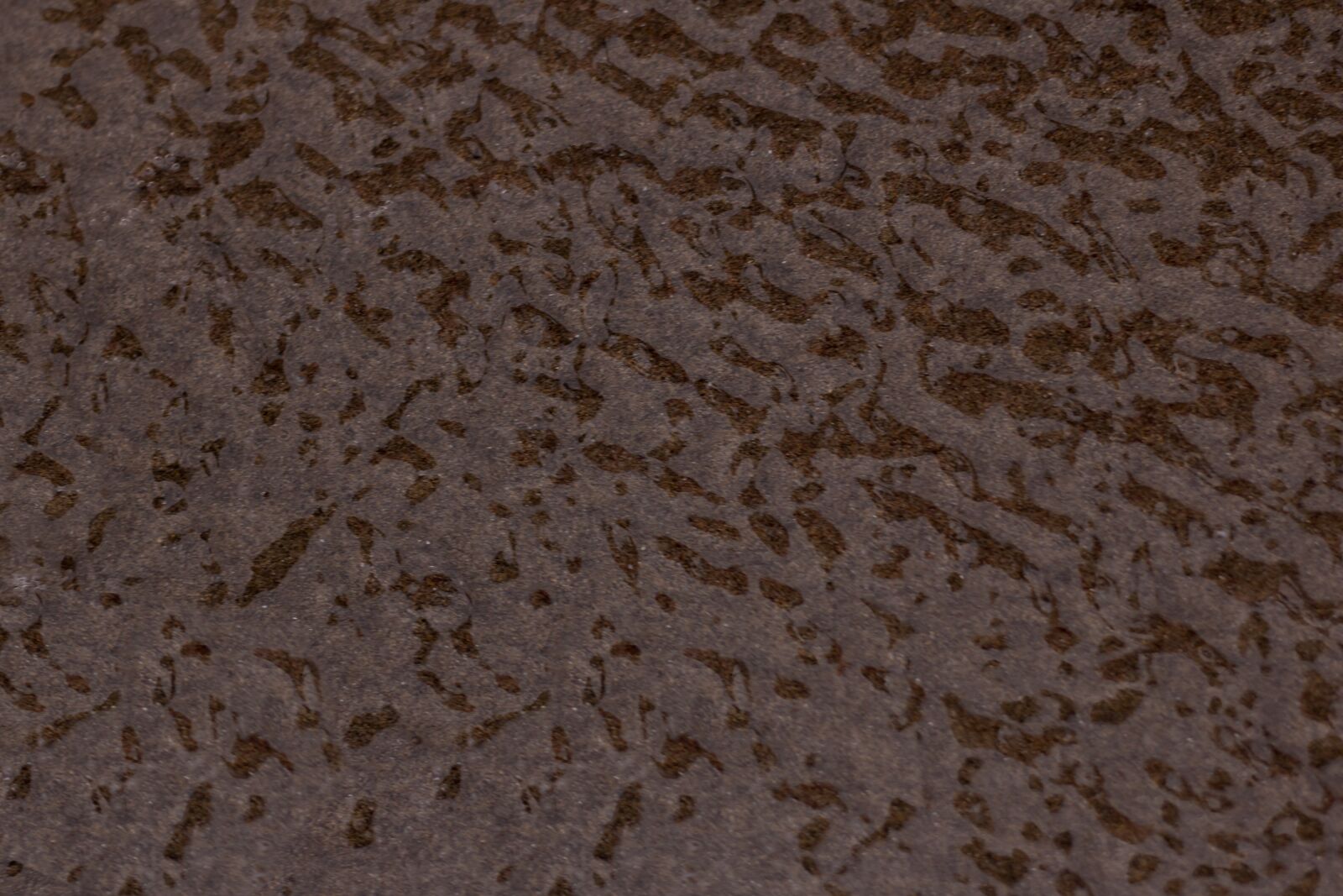 Canon EOS 750D (EOS Rebel T6i / EOS Kiss X8i) sample photo. Texture, waves, coffee photography