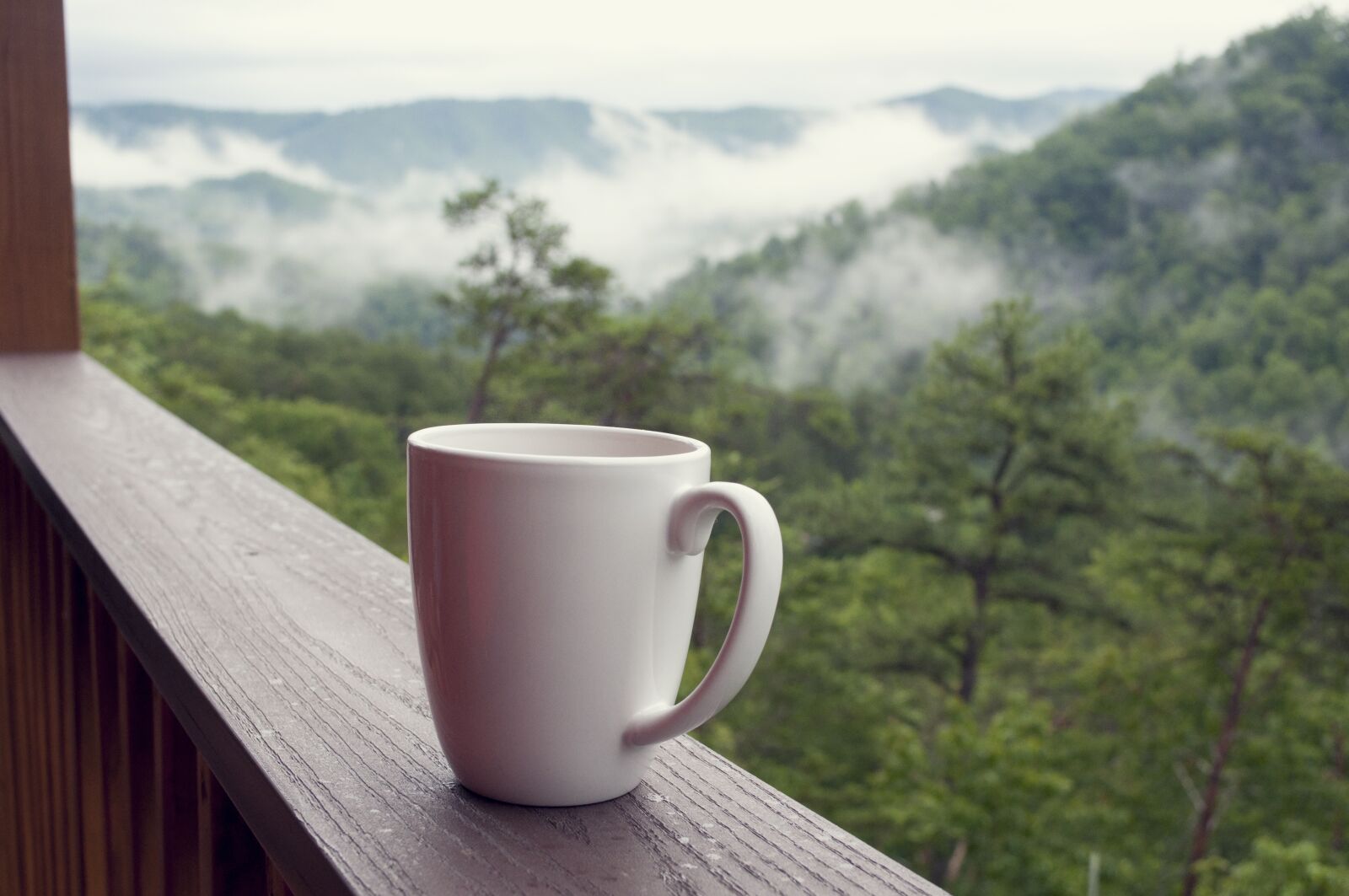 Nikon D90 sample photo. Smoky mountains, coffee, nature photography