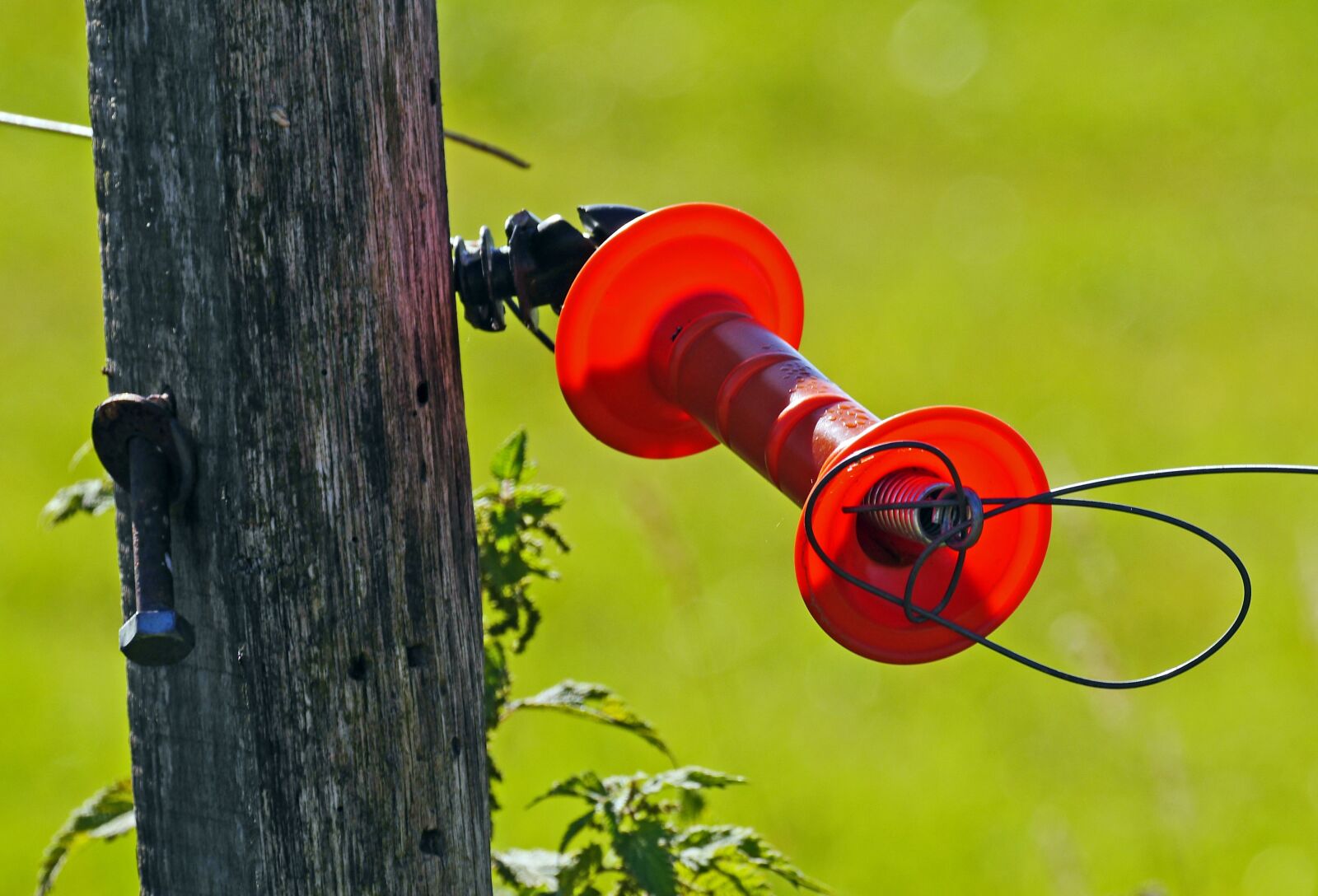 Panasonic Lumix DMC-GH3 sample photo. Pasture fence, electric fence photography