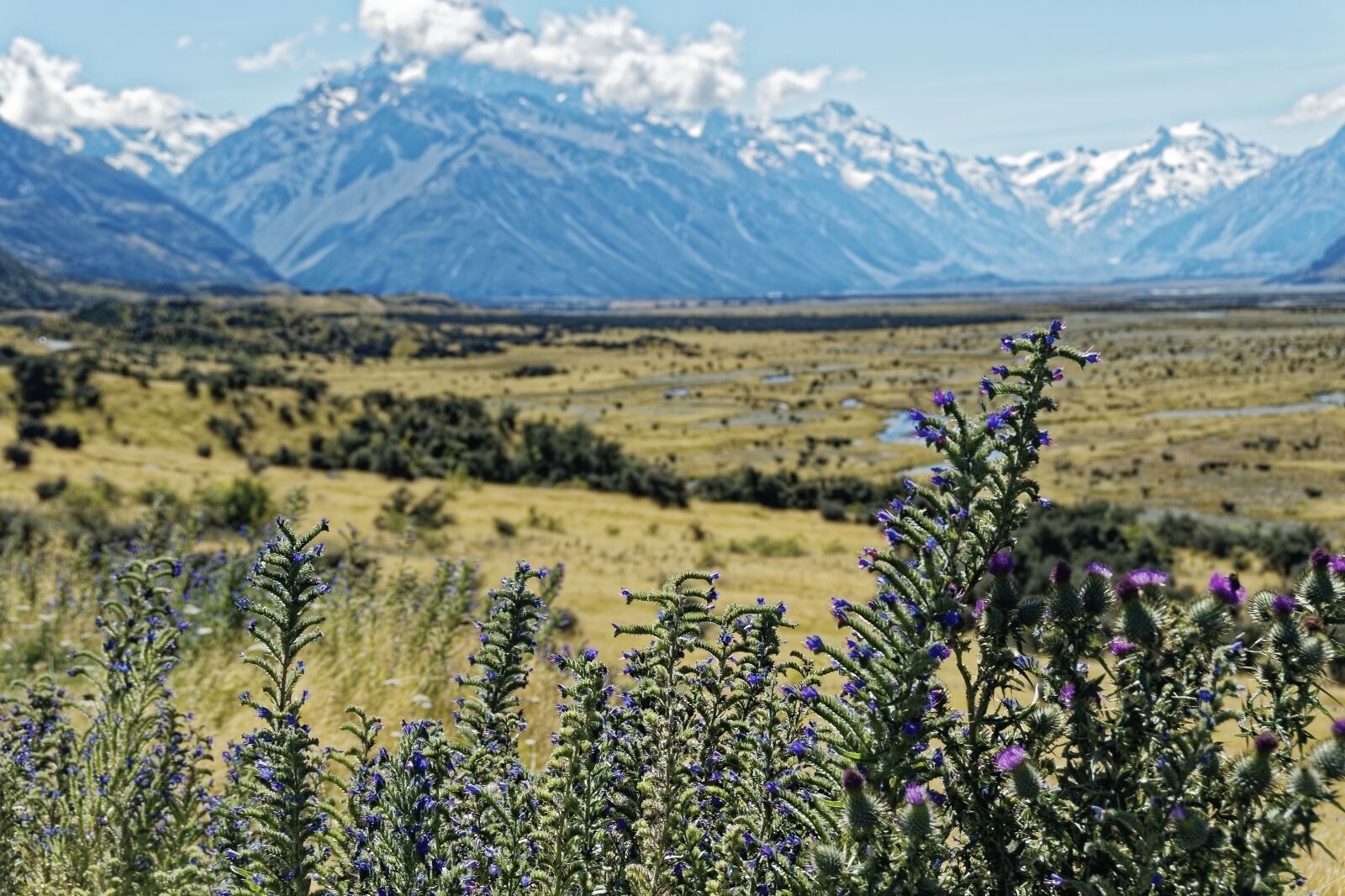 Nikon D500 sample photo. New zealand, tasman vaylley photography