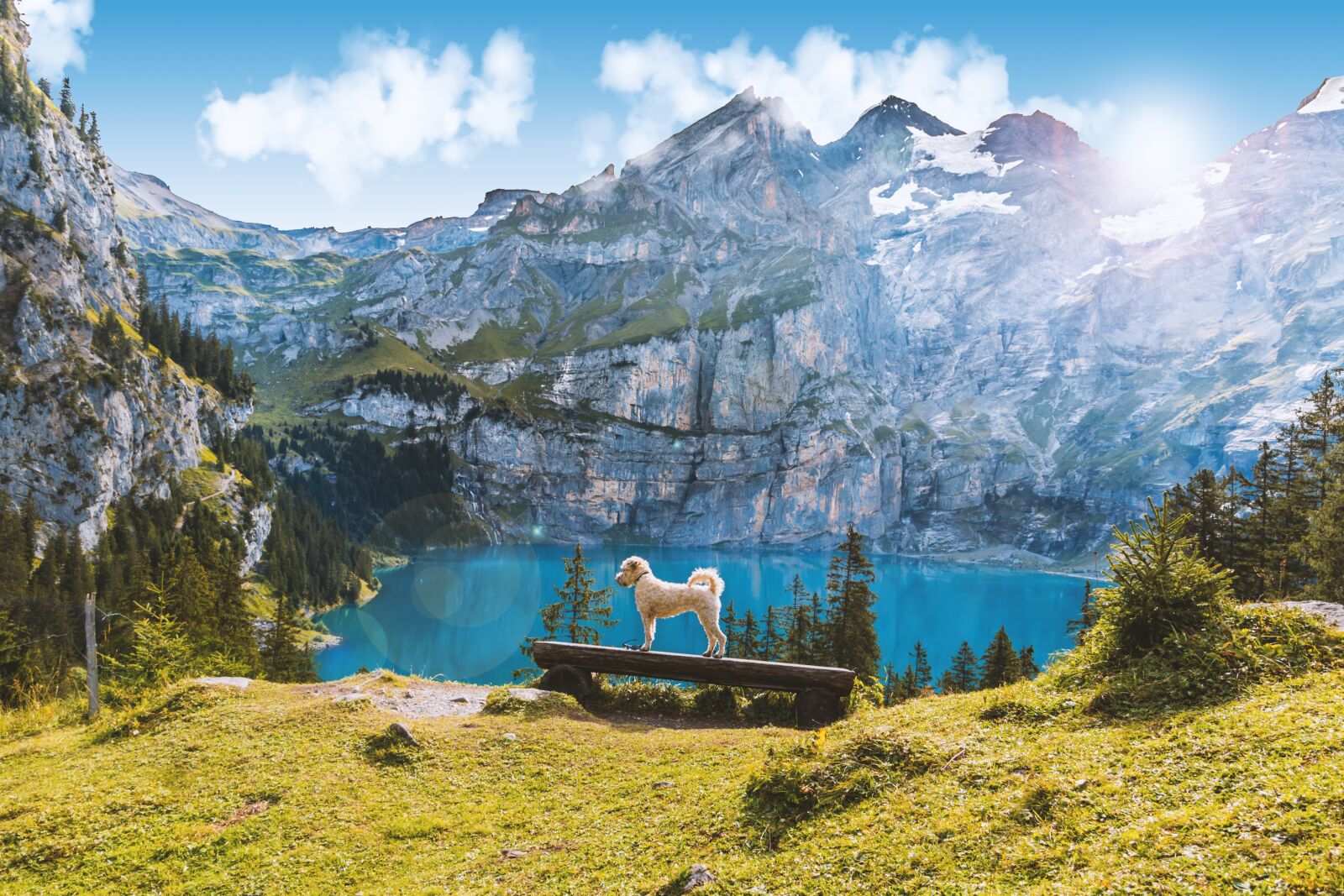 Canon EOS 70D sample photo. Lake oeschinen, switzerland, mountains photography