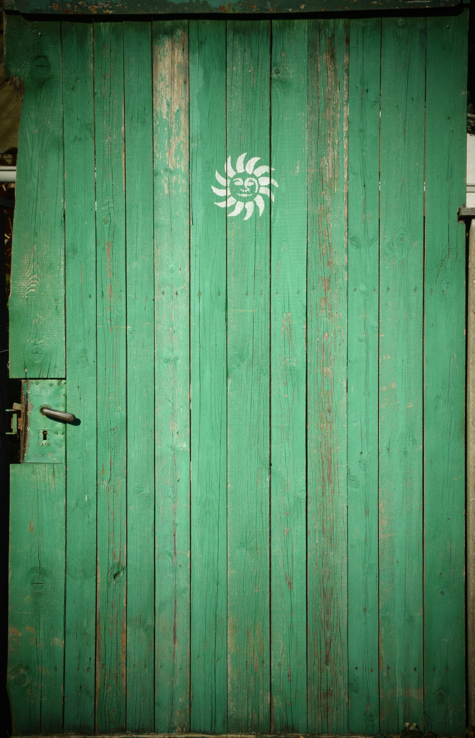 Nikon D3300 sample photo. Door, green, input photography