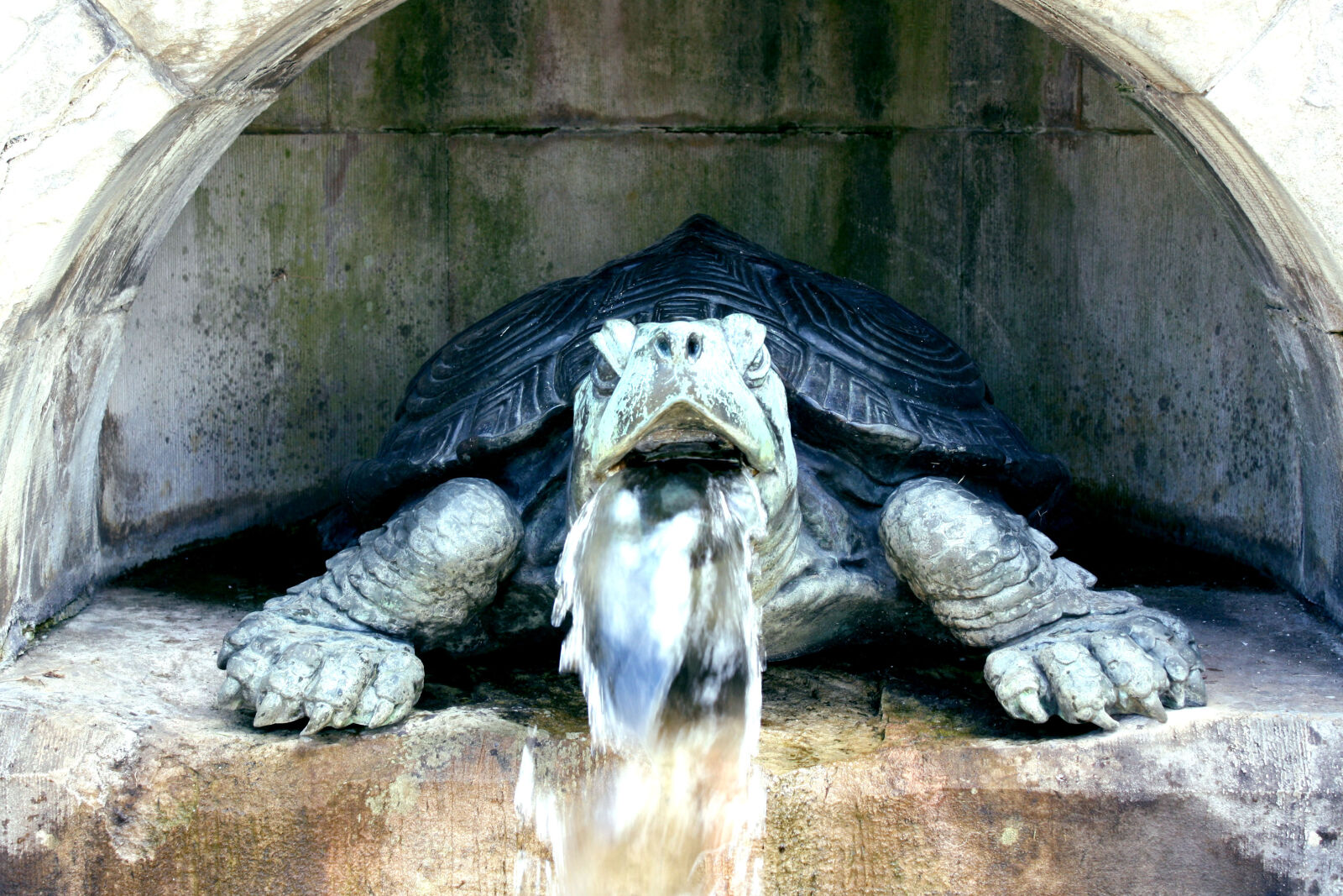 Canon EOS 1000D (EOS Digital Rebel XS / EOS Kiss F) sample photo. Fountain, sculpture, stone, turtle photography