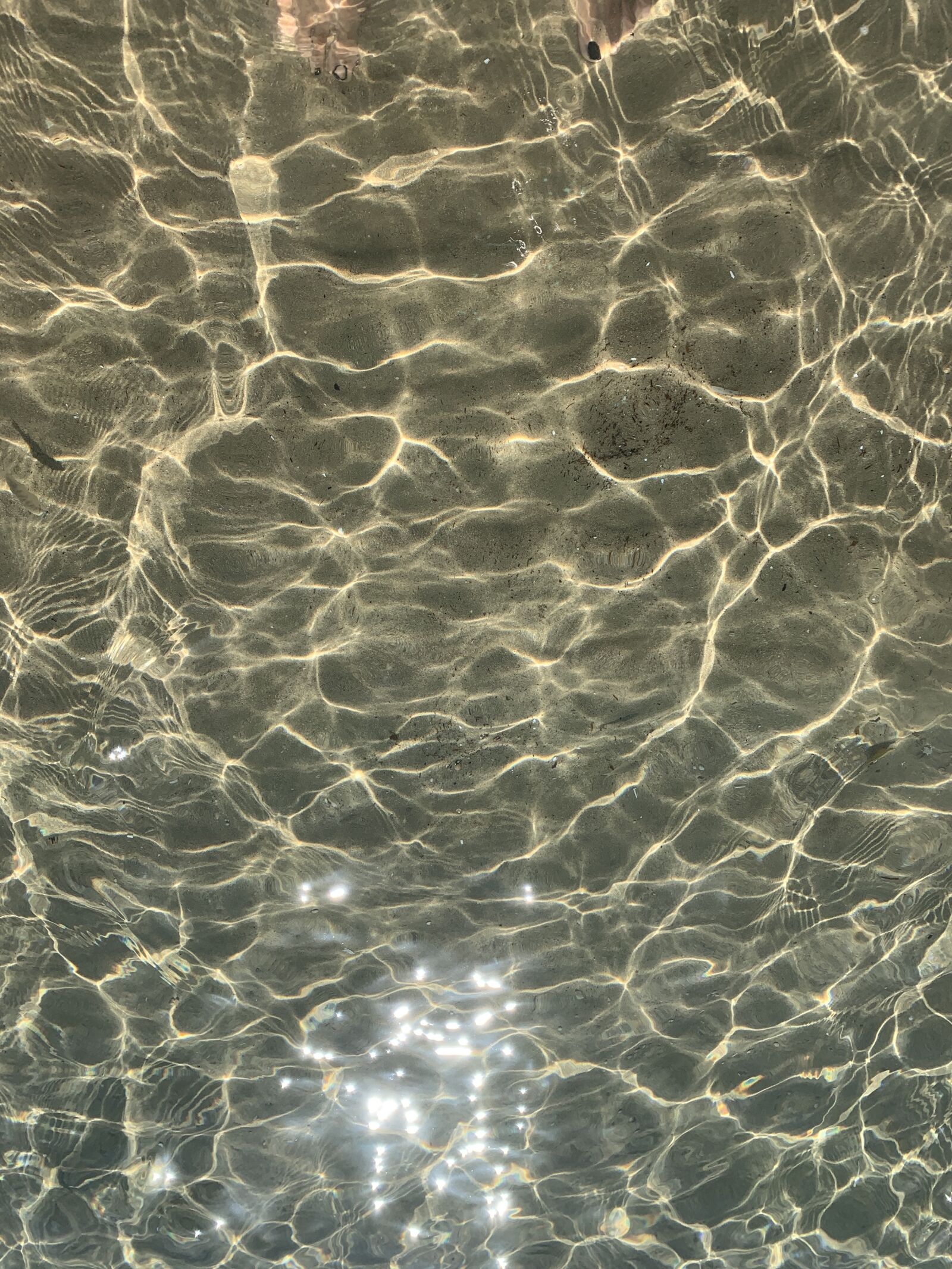 iPhone XR back camera 4.25mm f/1.8 sample photo. Water, nature, transparent photography