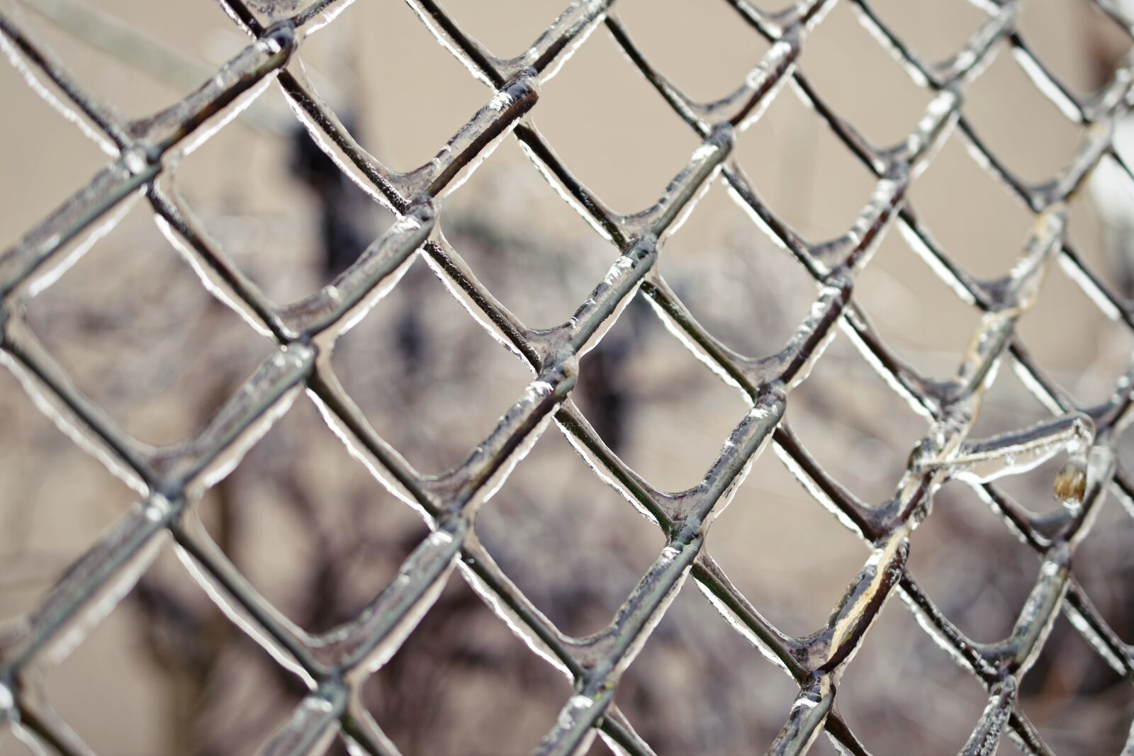 Nikon D5300 sample photo. The net, wire, fence photography