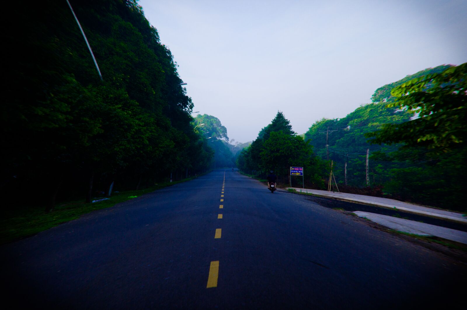Nikon D90 sample photo. Treet, dawn, vietnam photography