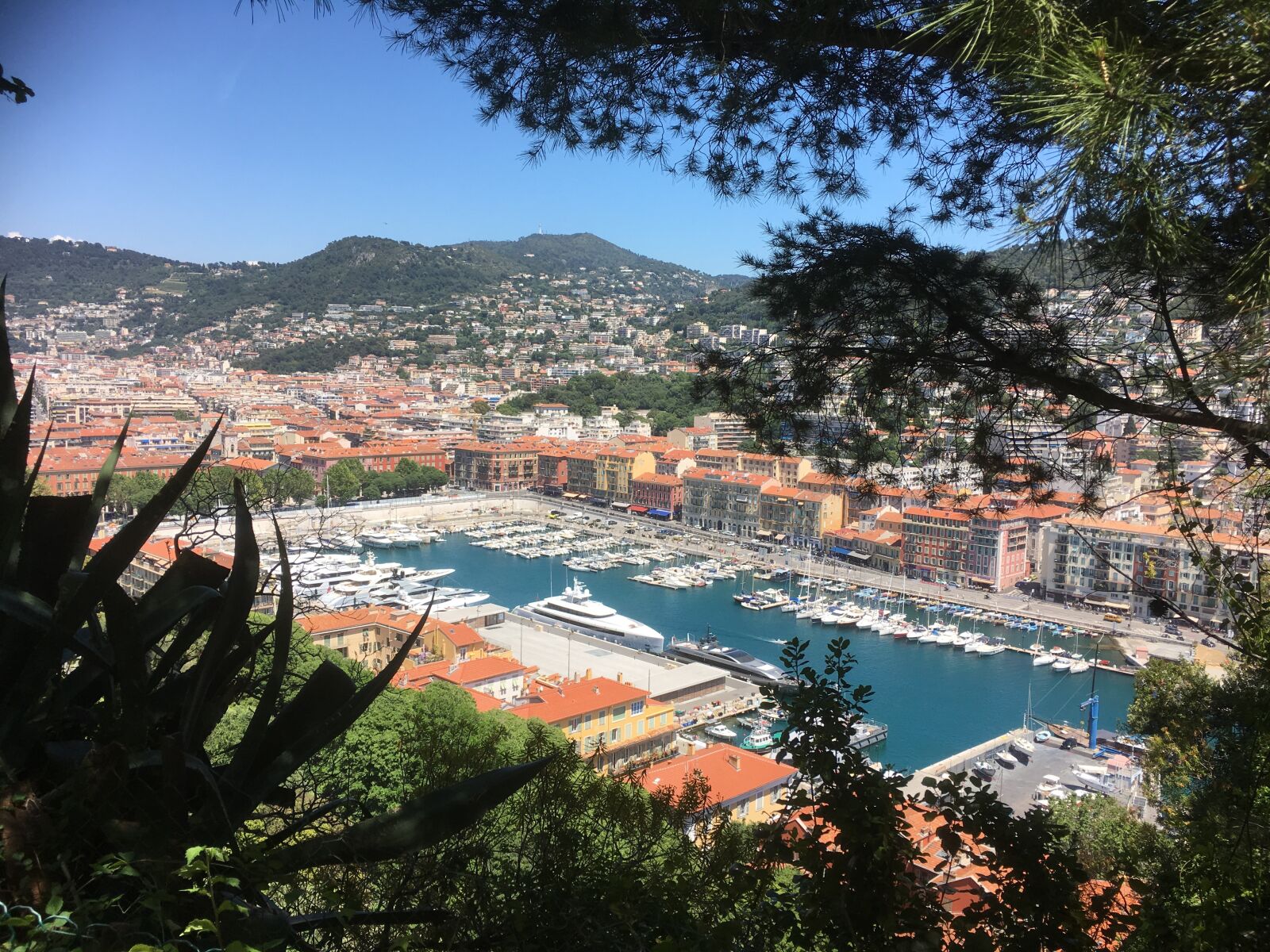 iPhone SE back camera 4.15mm f/2.2 sample photo. Nice, harbour, france photography