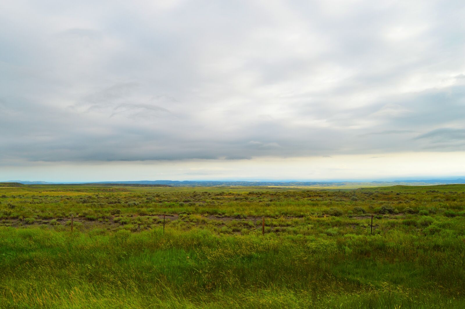 Nikon D3200 sample photo. Horizon, grassland, storm photography
