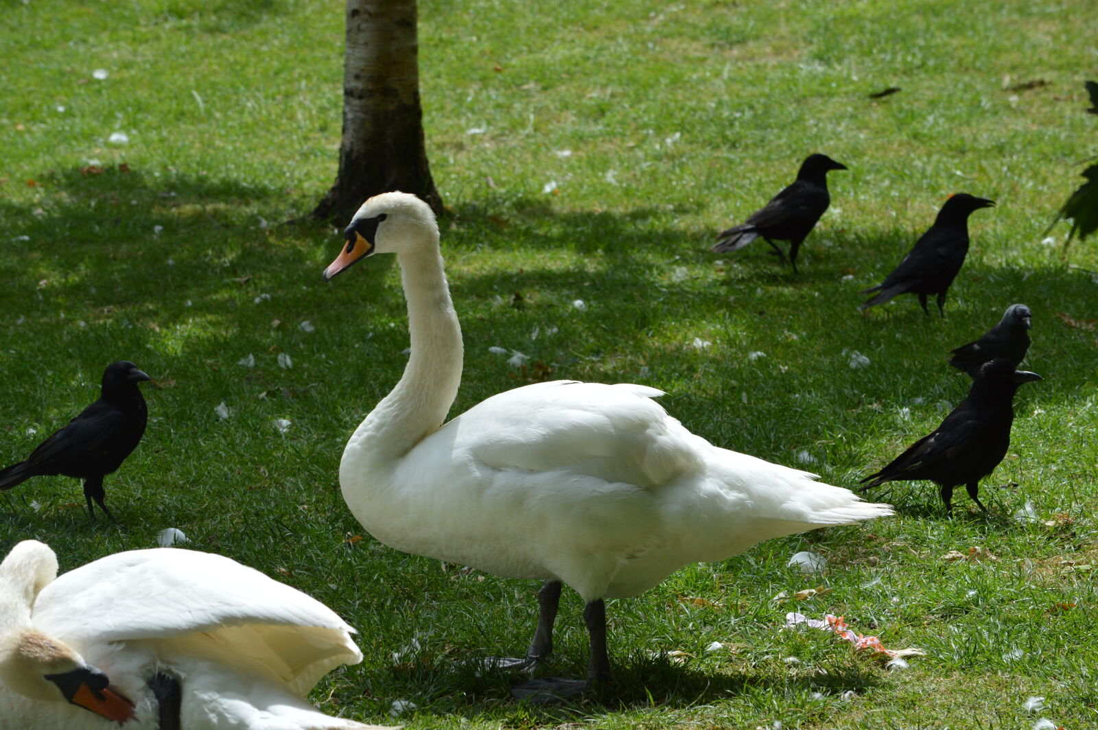 Nikon D3200 sample photo
