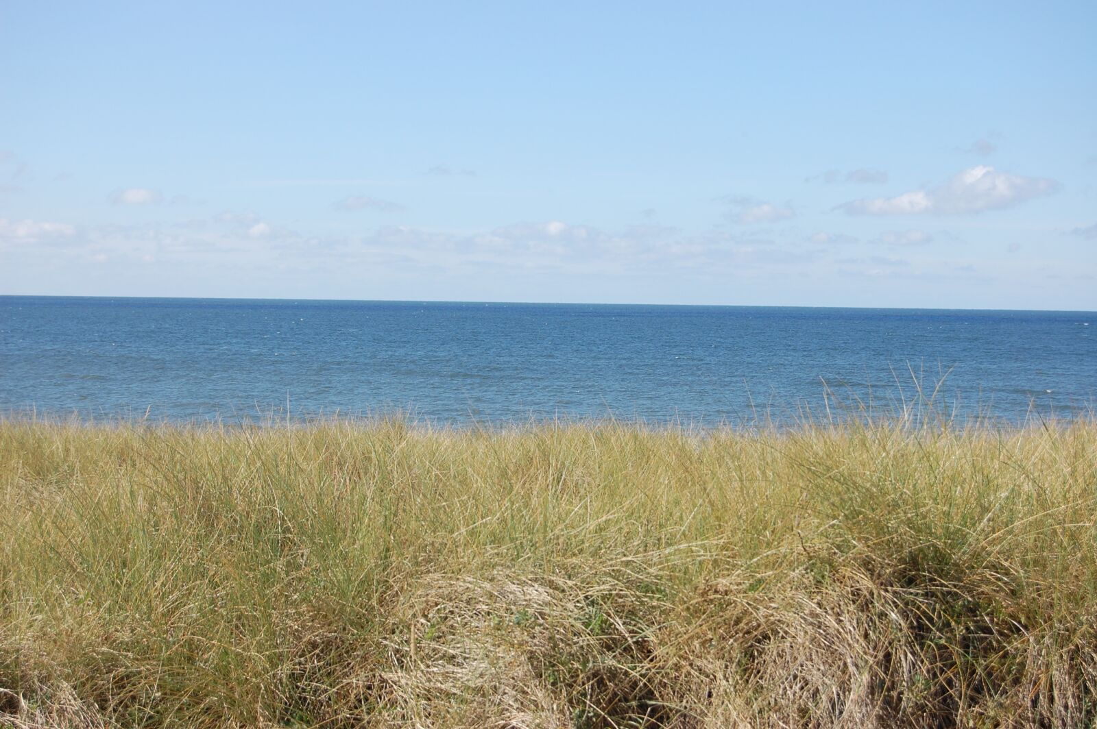 Nikon D40 sample photo. Sylt, north sea, vacations photography