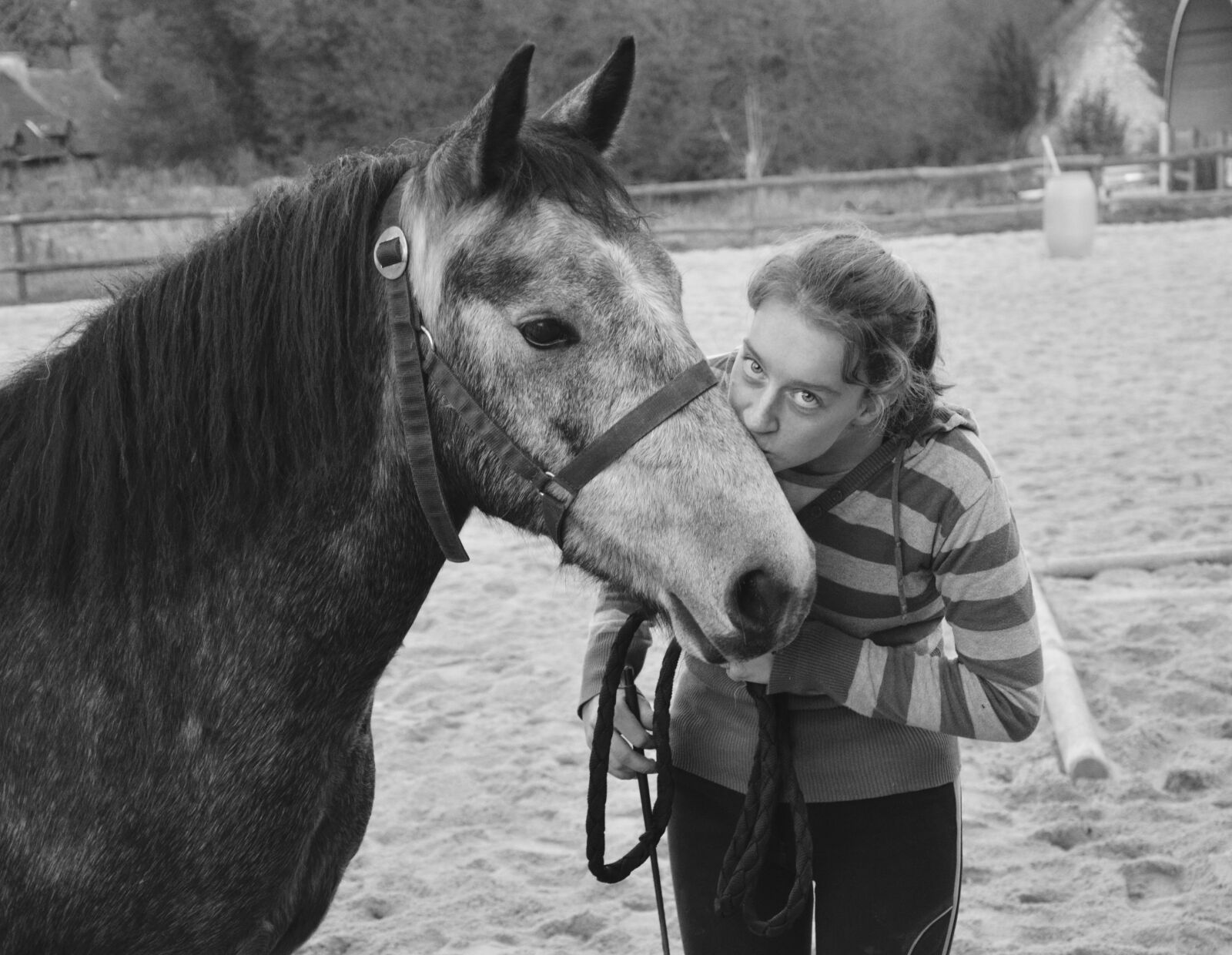 Nikon D5200 sample photo. Kiss, kisses, photo black photography