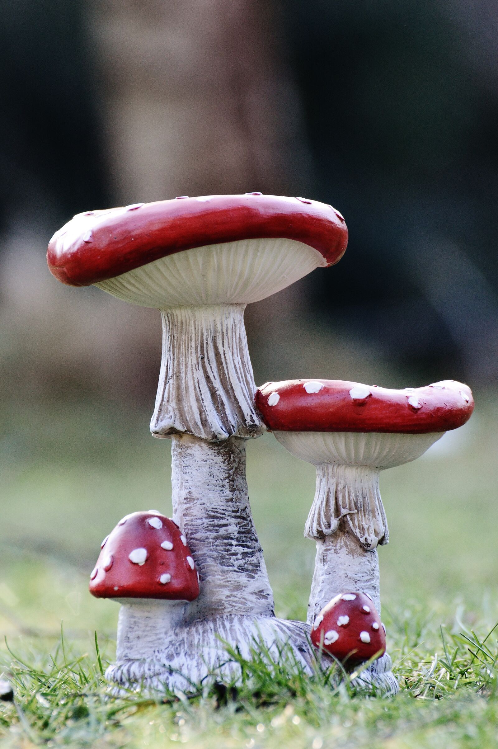 Nikon D3200 sample photo. Mushrooms, garden, deco photography