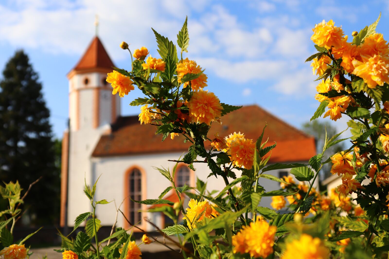 Canon EOS 200D (EOS Rebel SL2 / EOS Kiss X9) sample photo. Church, flowers, green photography