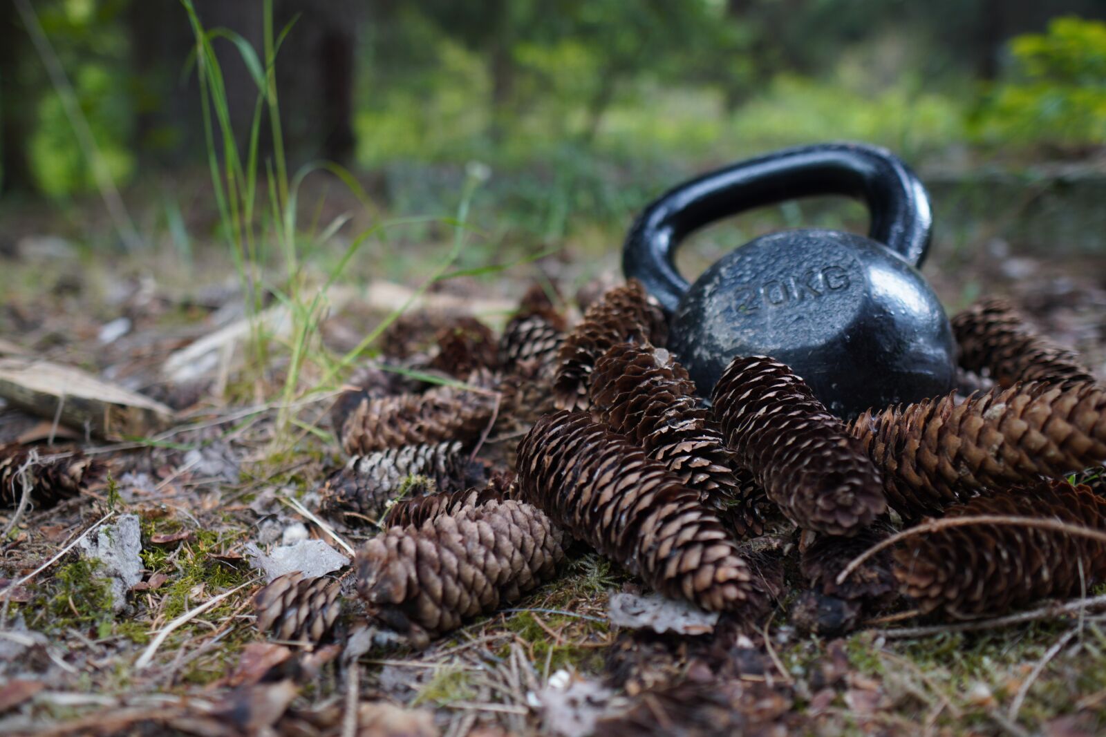 Sony a6400 + Sigma 16mm F1.4 DC DN | C sample photo. Carnivore, kettlebell, trening photography