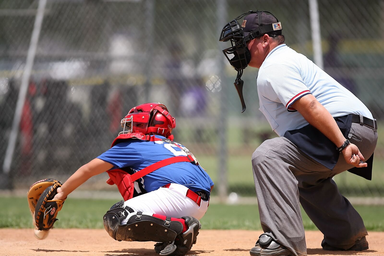 Canon EOS-1D Mark II N sample photo. Baseball, catcher, umpire photography
