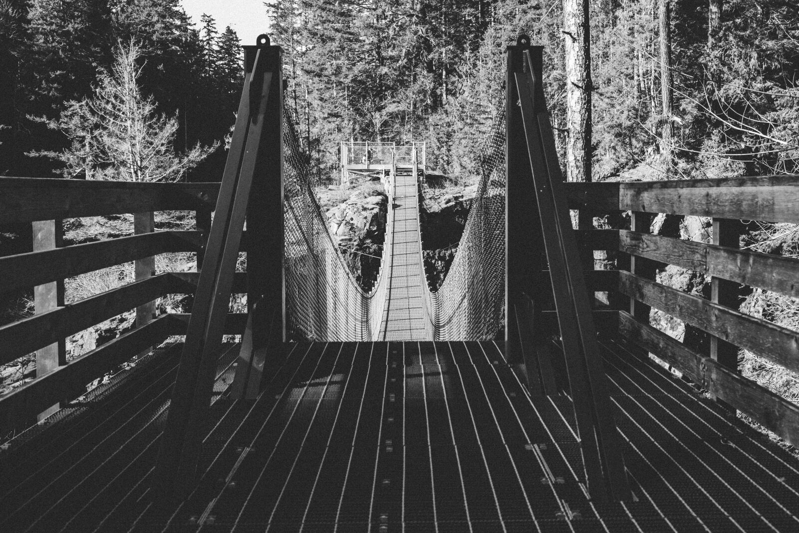 Fujifilm X-T3 sample photo. Suspension bridge, bridge, architecture photography