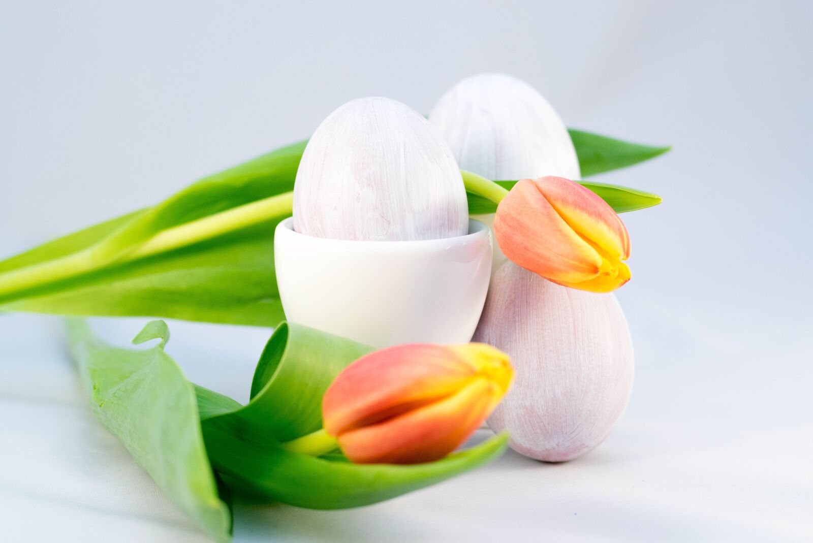 Nikon D3300 sample photo. Easter, flower, nature photography