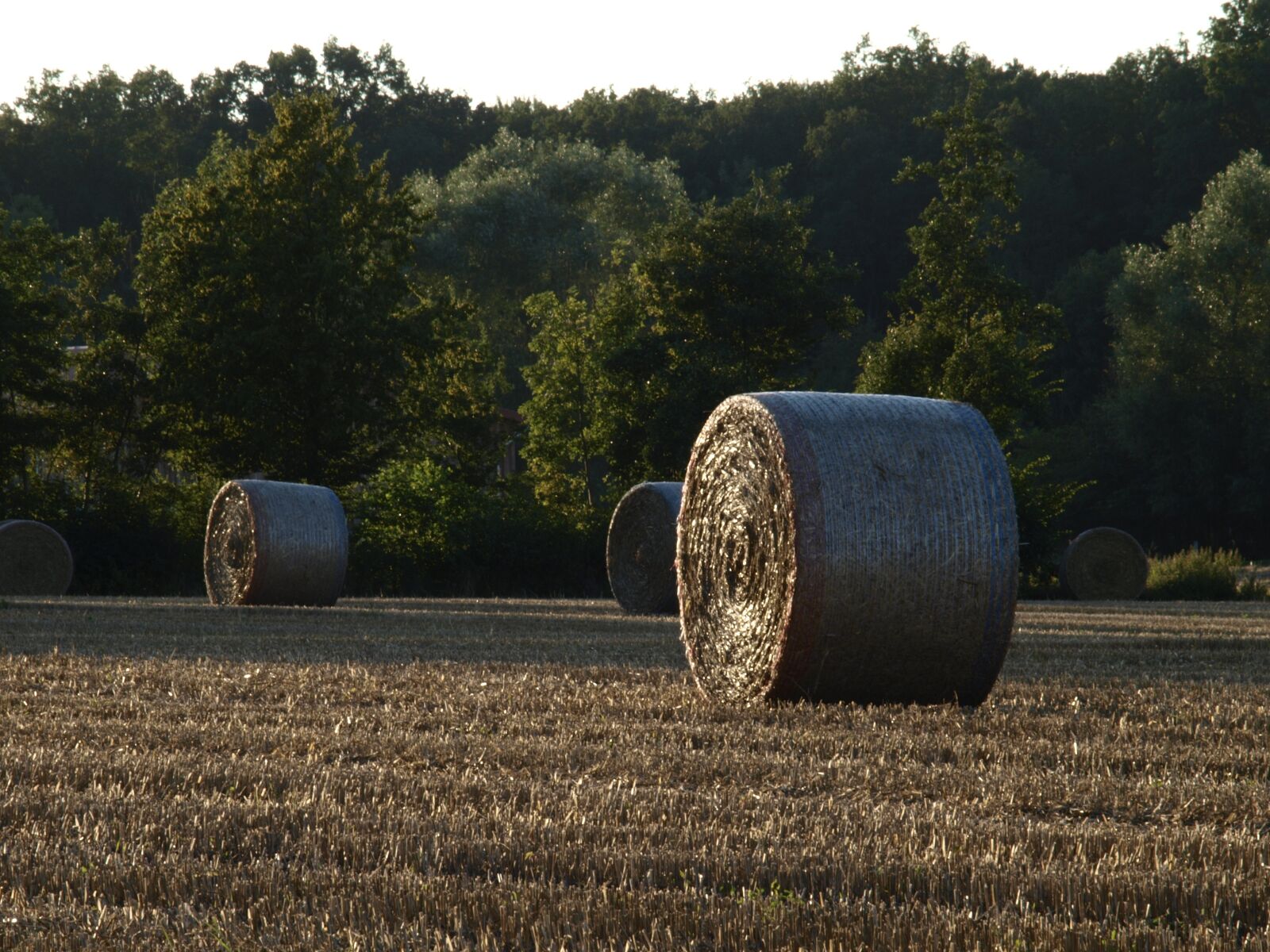 Olympus E-420 (EVOLT E-420) sample photo. Straw bales, harvest, field photography