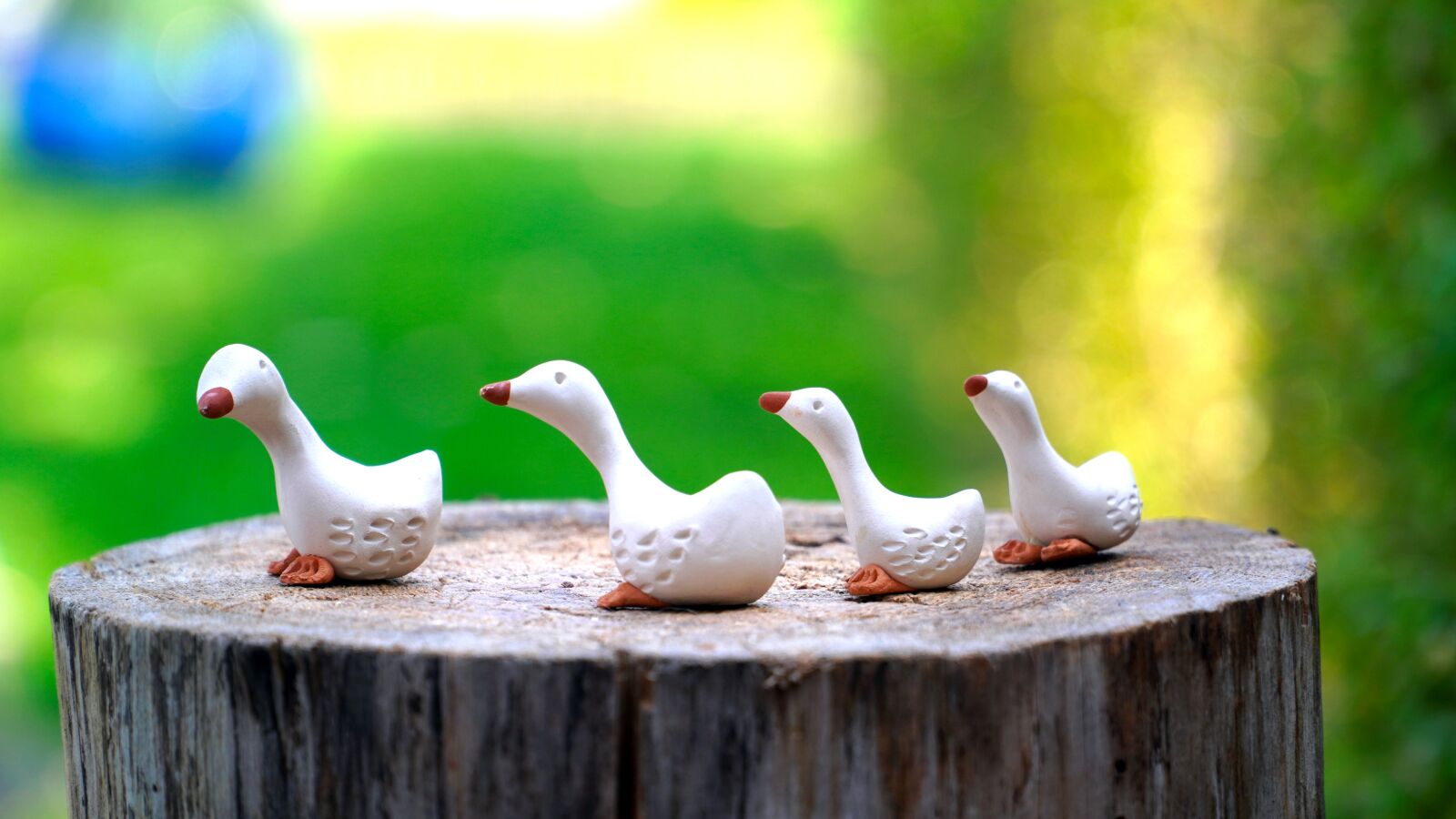 Sony E PZ 18-105mm F4 G OSS sample photo. Ducks, figures, sound photography