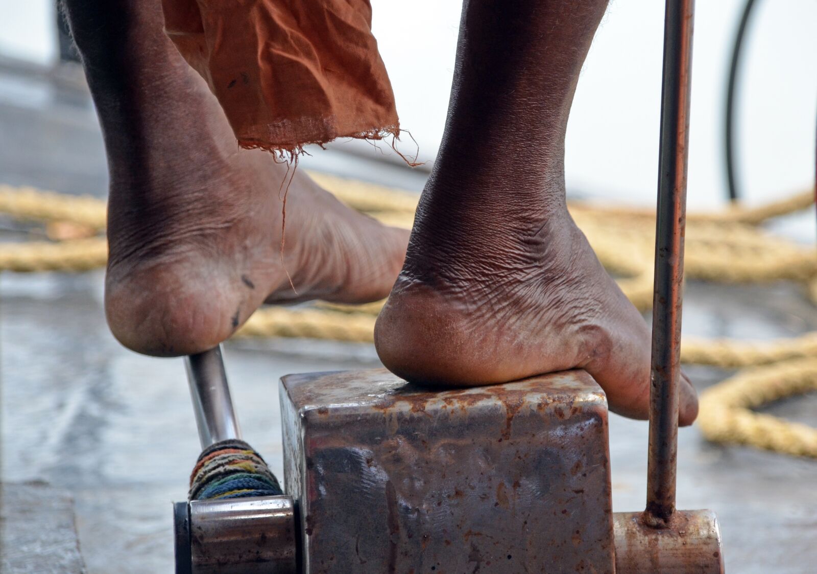 Nikon D5100 sample photo. India, backwaters, cochin photography