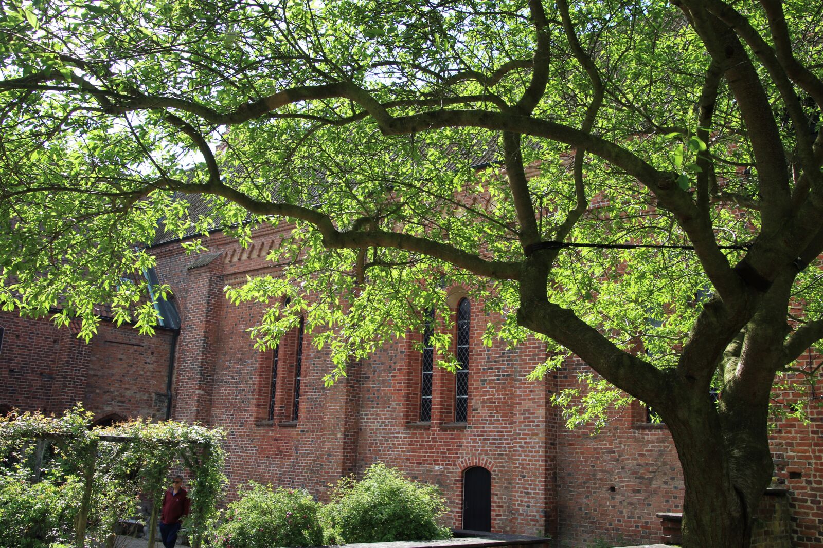 Canon EOS 7D Mark II sample photo. Apple, tree, arched, window photography