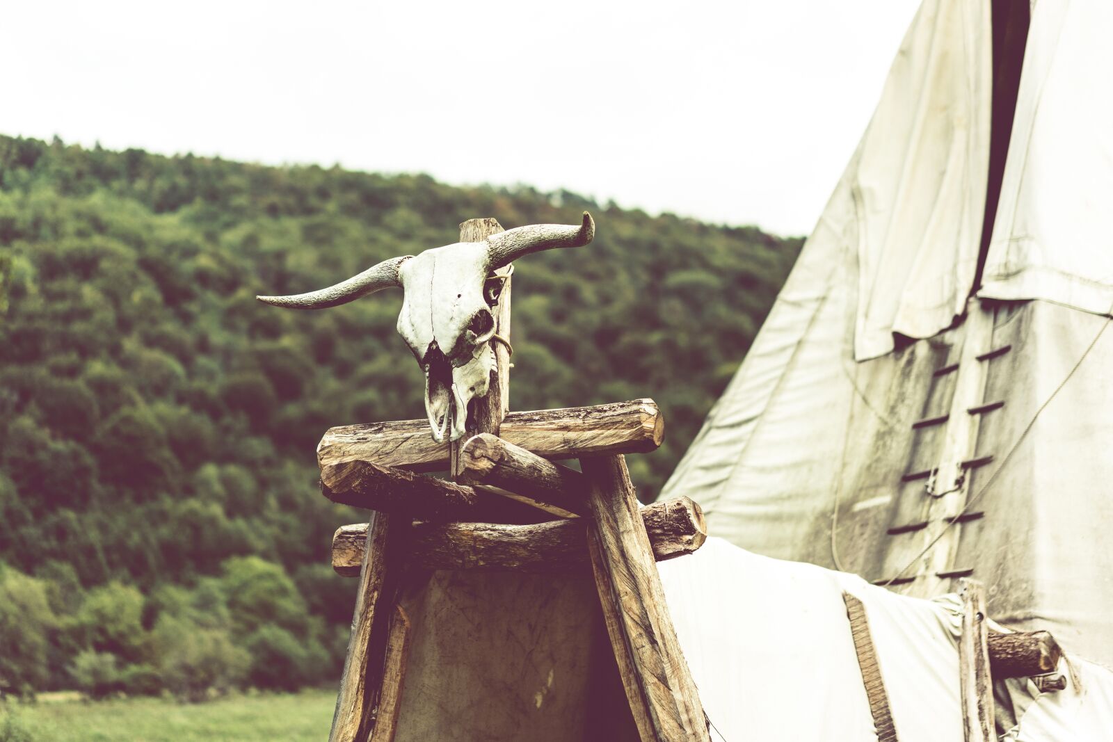 Sony Sonnar T* FE 55mm F1.8 ZA sample photo. Tipi, indians, tent photography