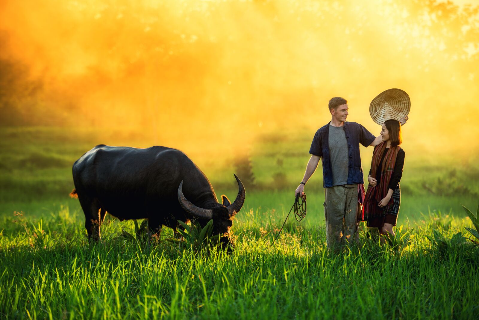 Nikon D600 sample photo. Thailand, farmer, buffalo photography