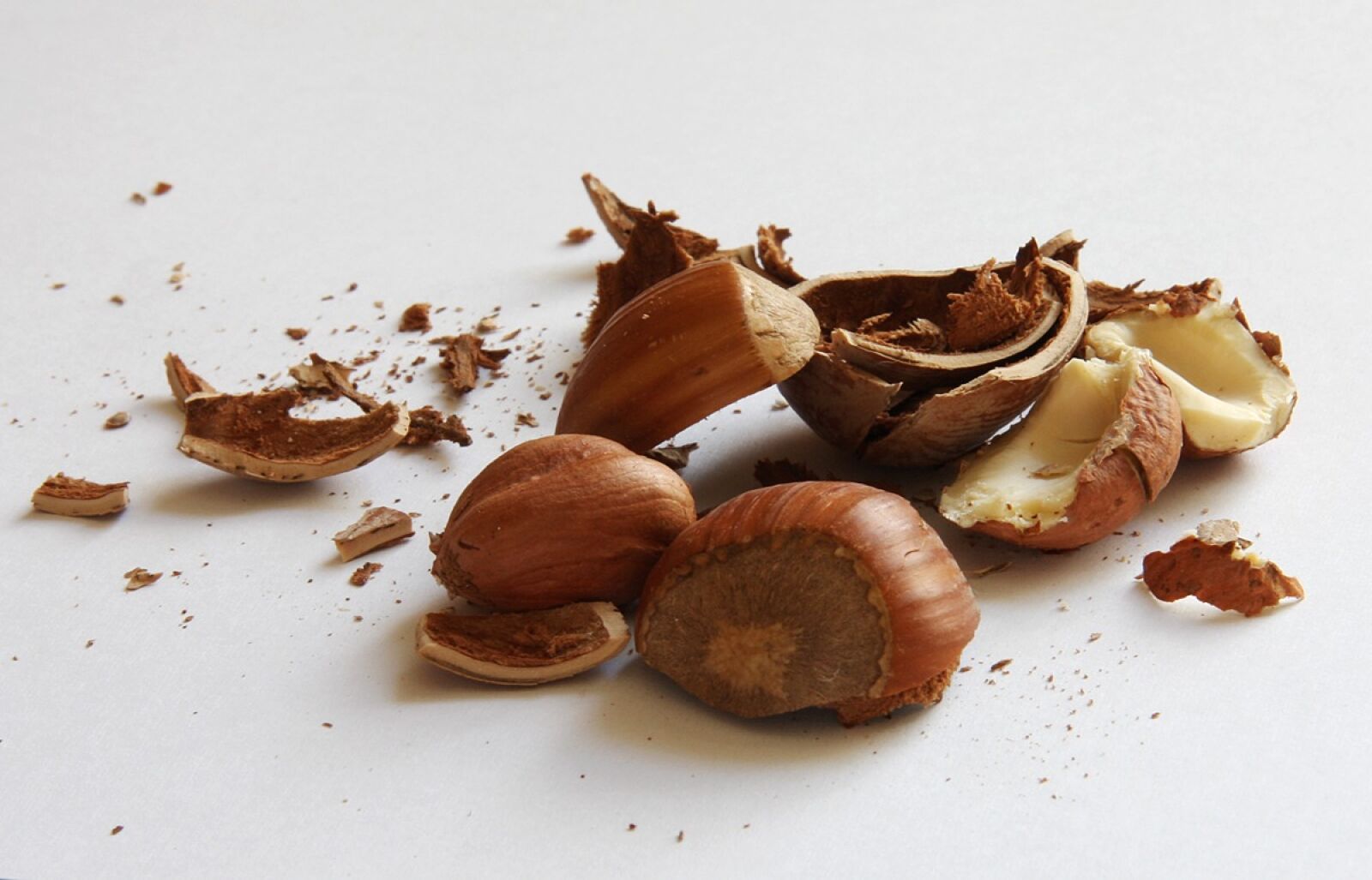 Canon EOS 40D sample photo. Hazelnuts, nuts, shell photography