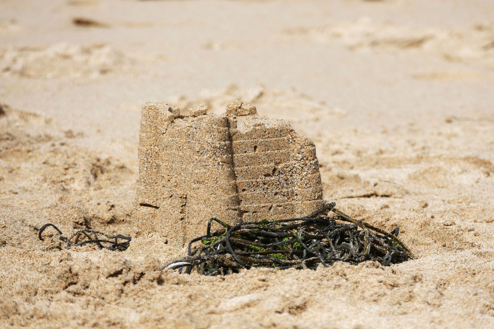 Panasonic Lumix DMC-FZ1000 sample photo. Sand castle, beach, sand photography