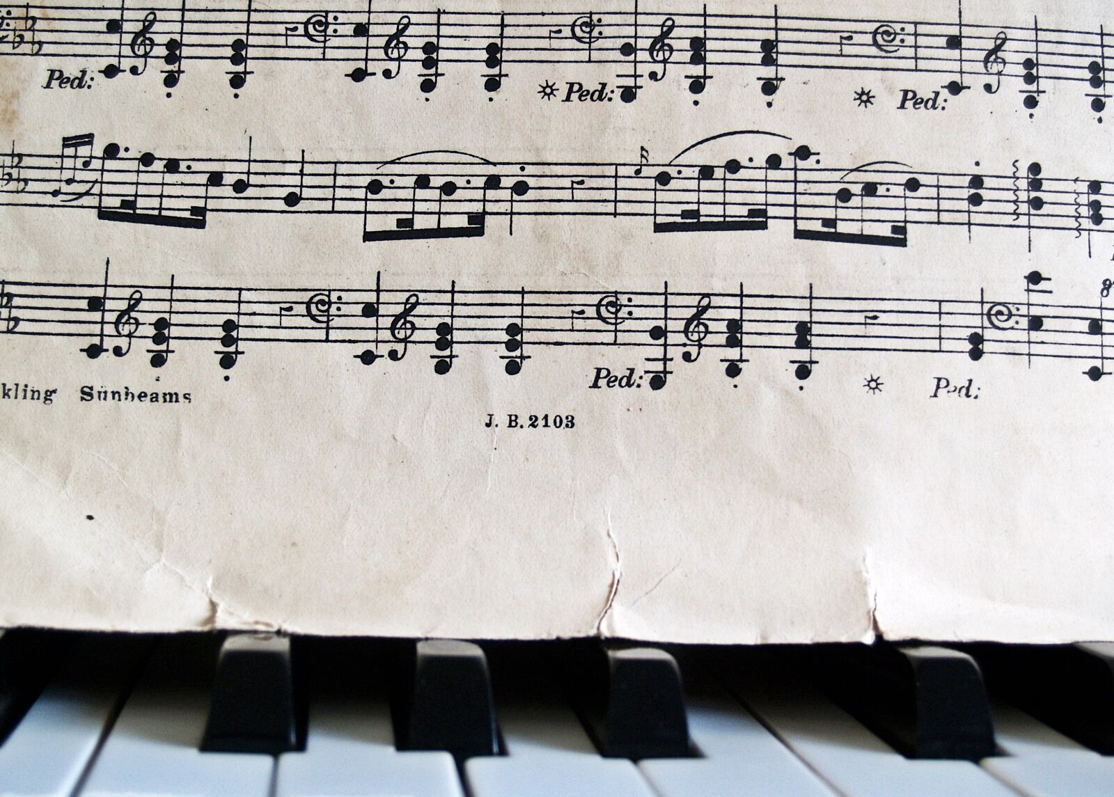 Olympus E-300 (EVOLT E-300) sample photo. Notes, piano, sheet music photography
