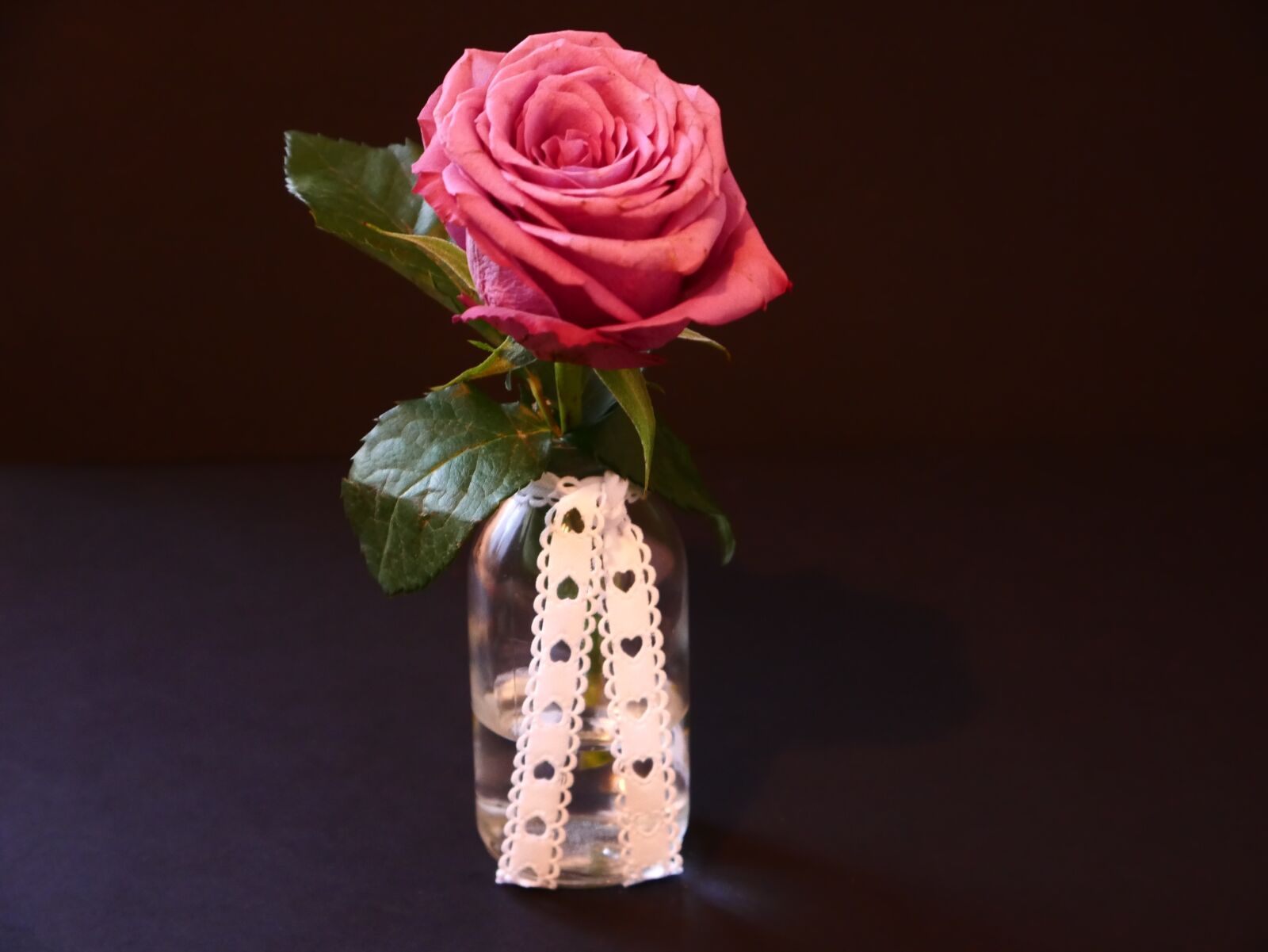 Panasonic DMC-G70 sample photo. Pink, rose, nature photography