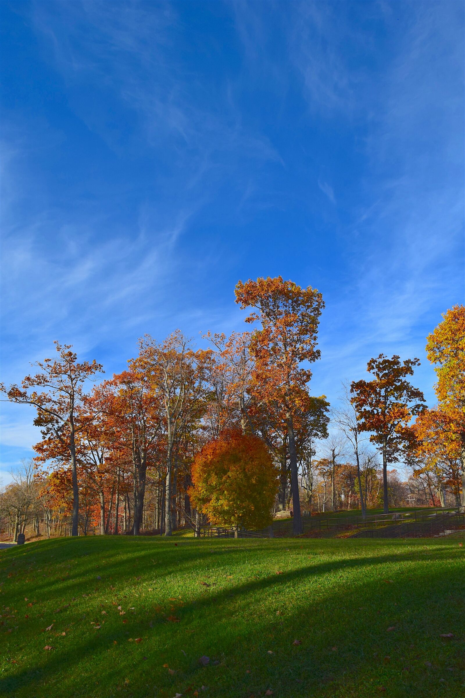 Nikon D3300 sample photo. Landscape, trees, nature photography