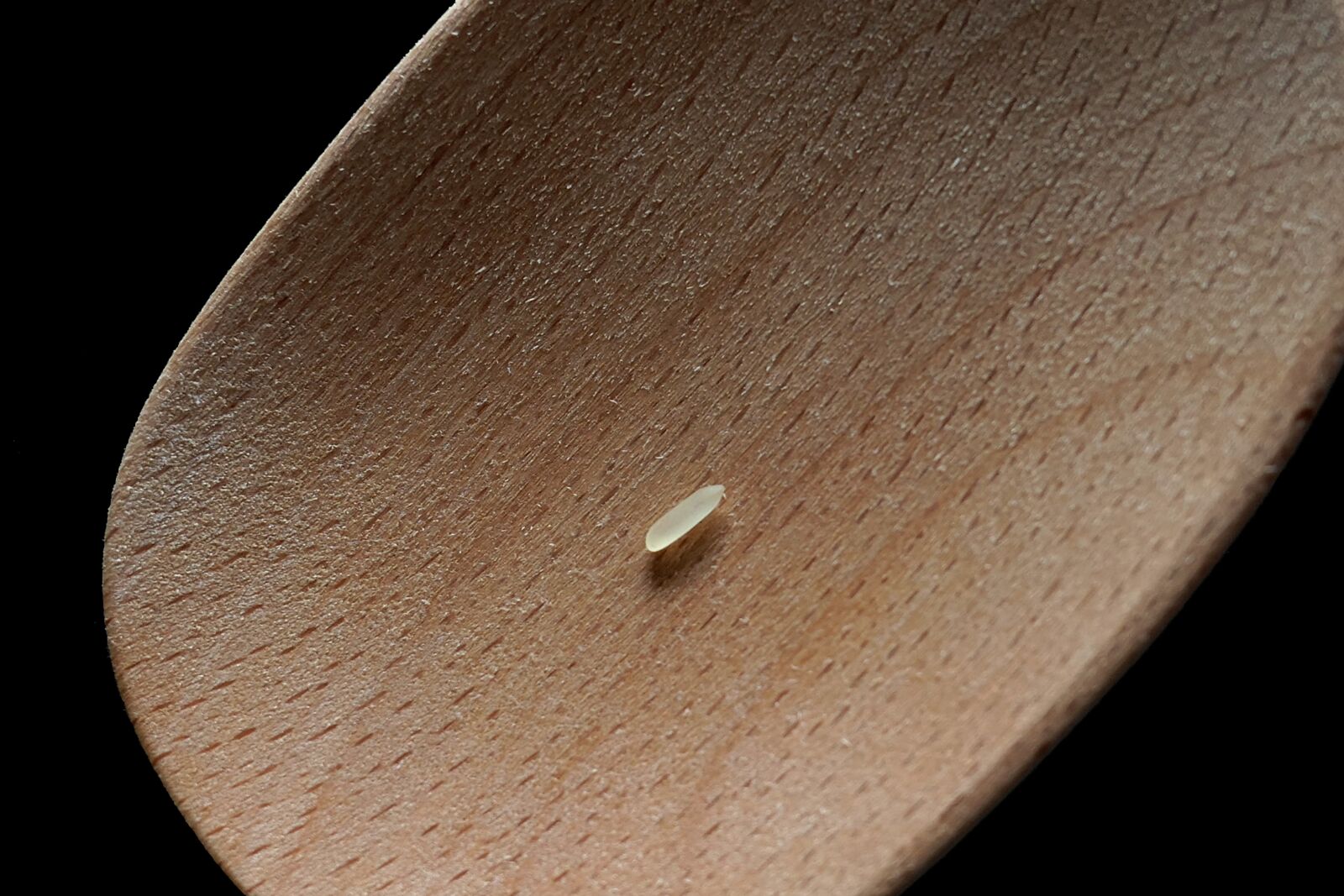 Panasonic Lumix DMC-LX10 (Lumix DMC-LX15) sample photo. Rice, spoon, spoon rice photography