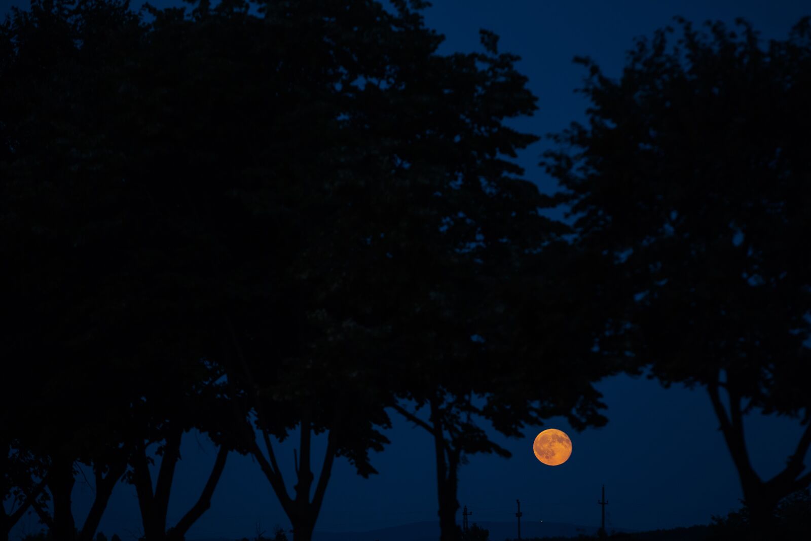 Canon EOS 5D Mark III sample photo. Midnight, moonlight, night, nightshade photography