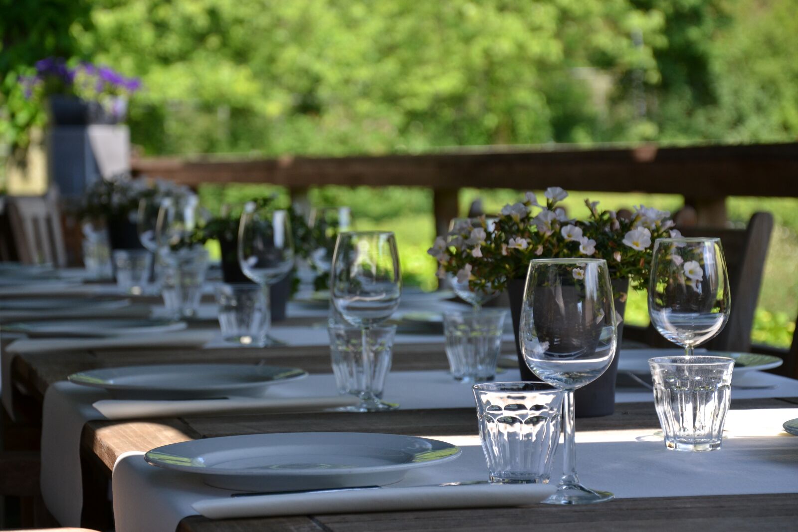 Nikon D3100 sample photo. Dinner, set table, covered photography