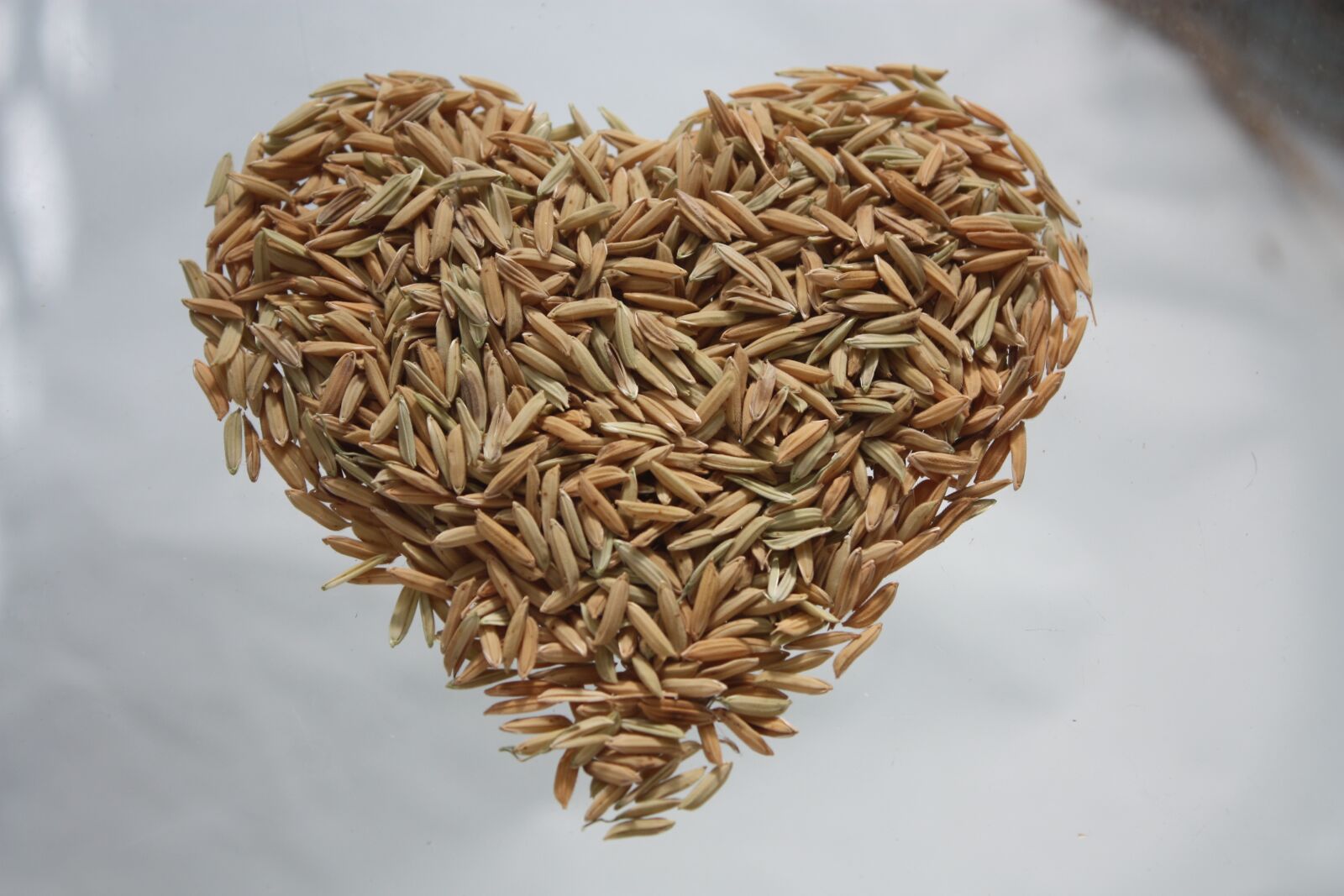 Canon EOS 450D (EOS Rebel XSi / EOS Kiss X2) sample photo. Heart, rice, rice heart photography