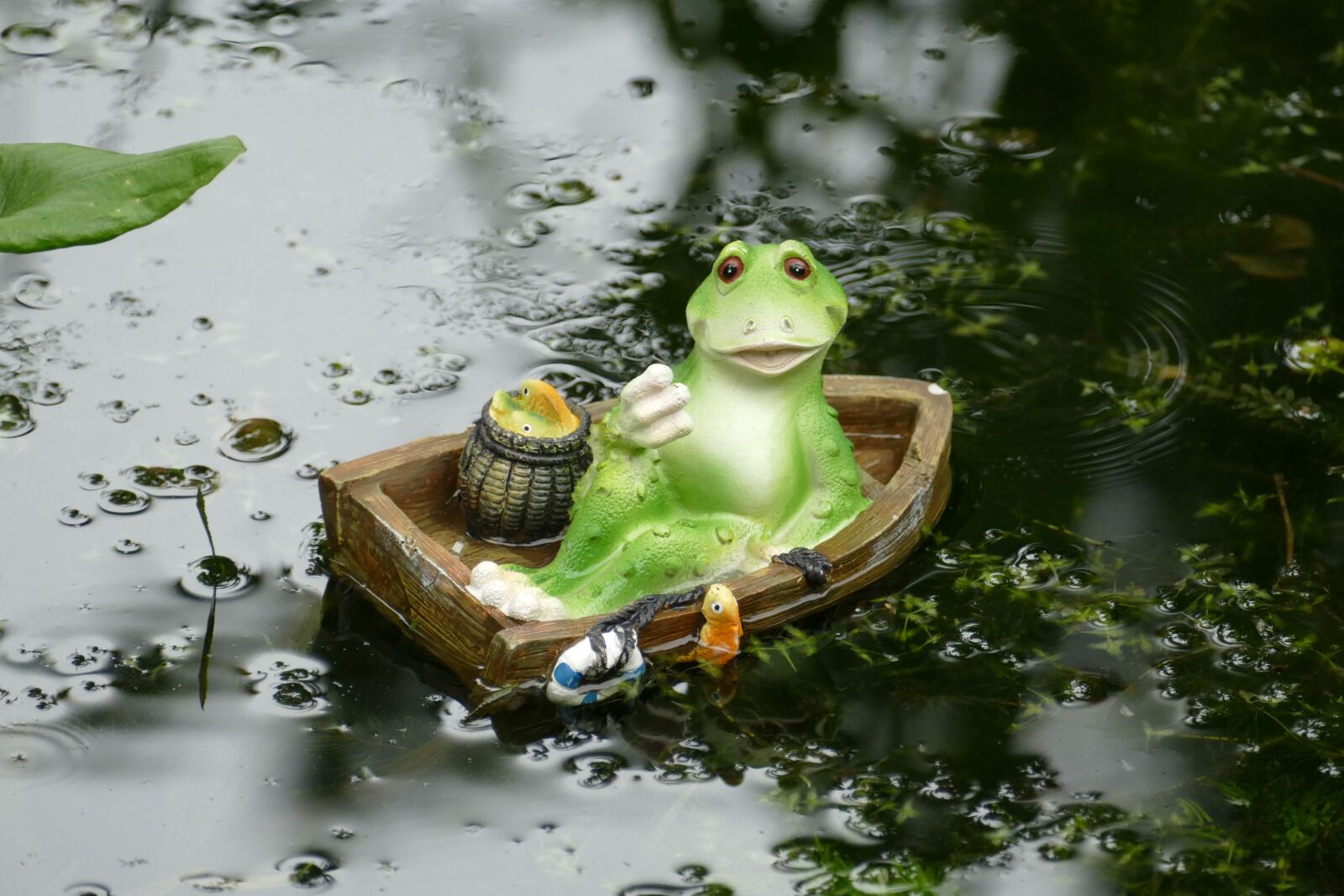 Panasonic Lumix DMC-FZ1000 sample photo. Frog, fauna, boat photography