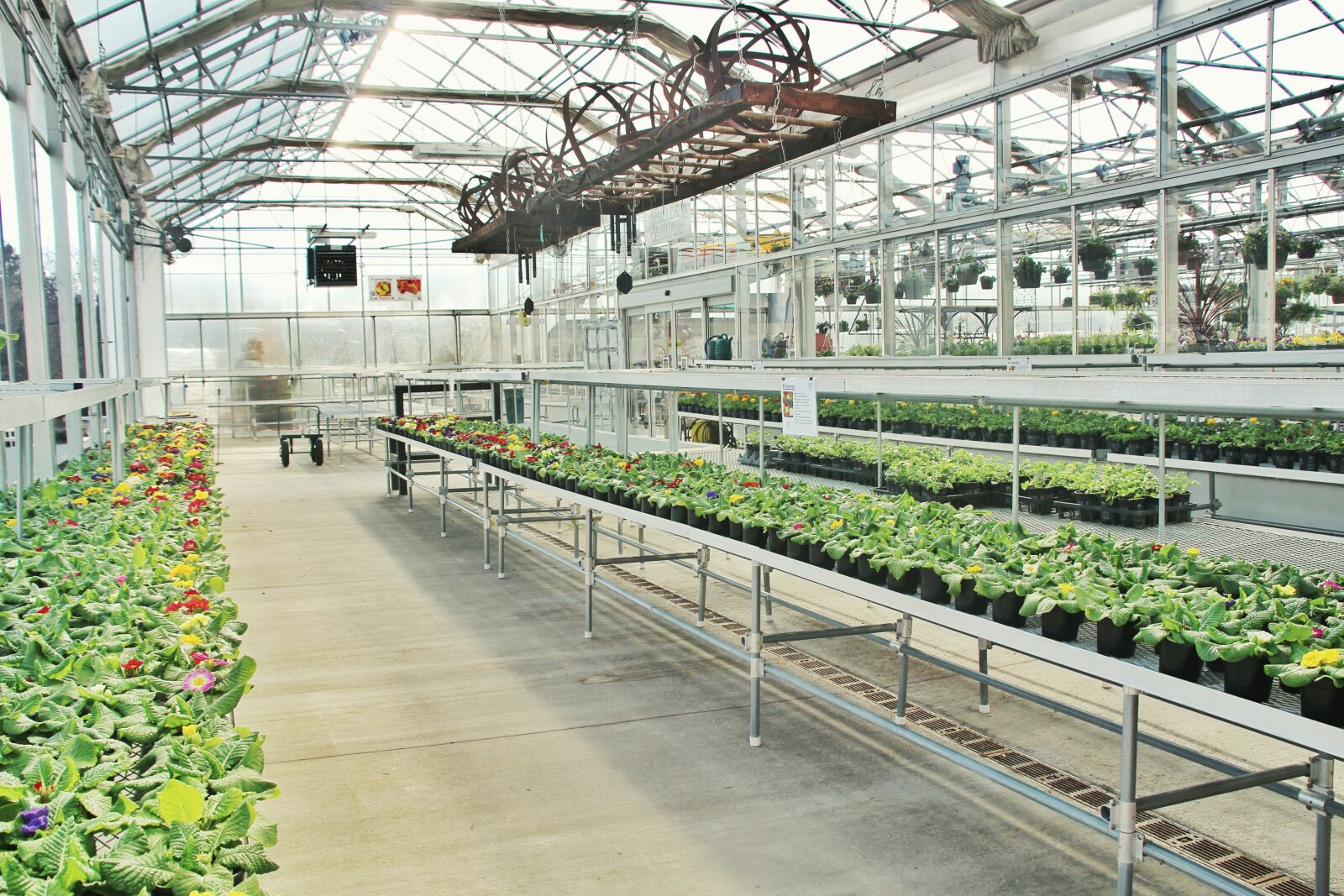 Canon EOS 100D (EOS Rebel SL1 / EOS Kiss X7) sample photo. Greenhouse, industry, business photography