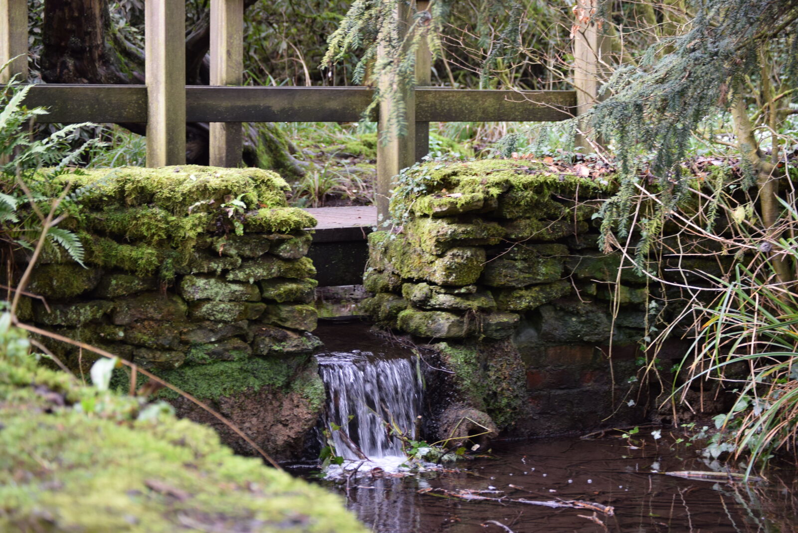 Nikon D5300 sample photo