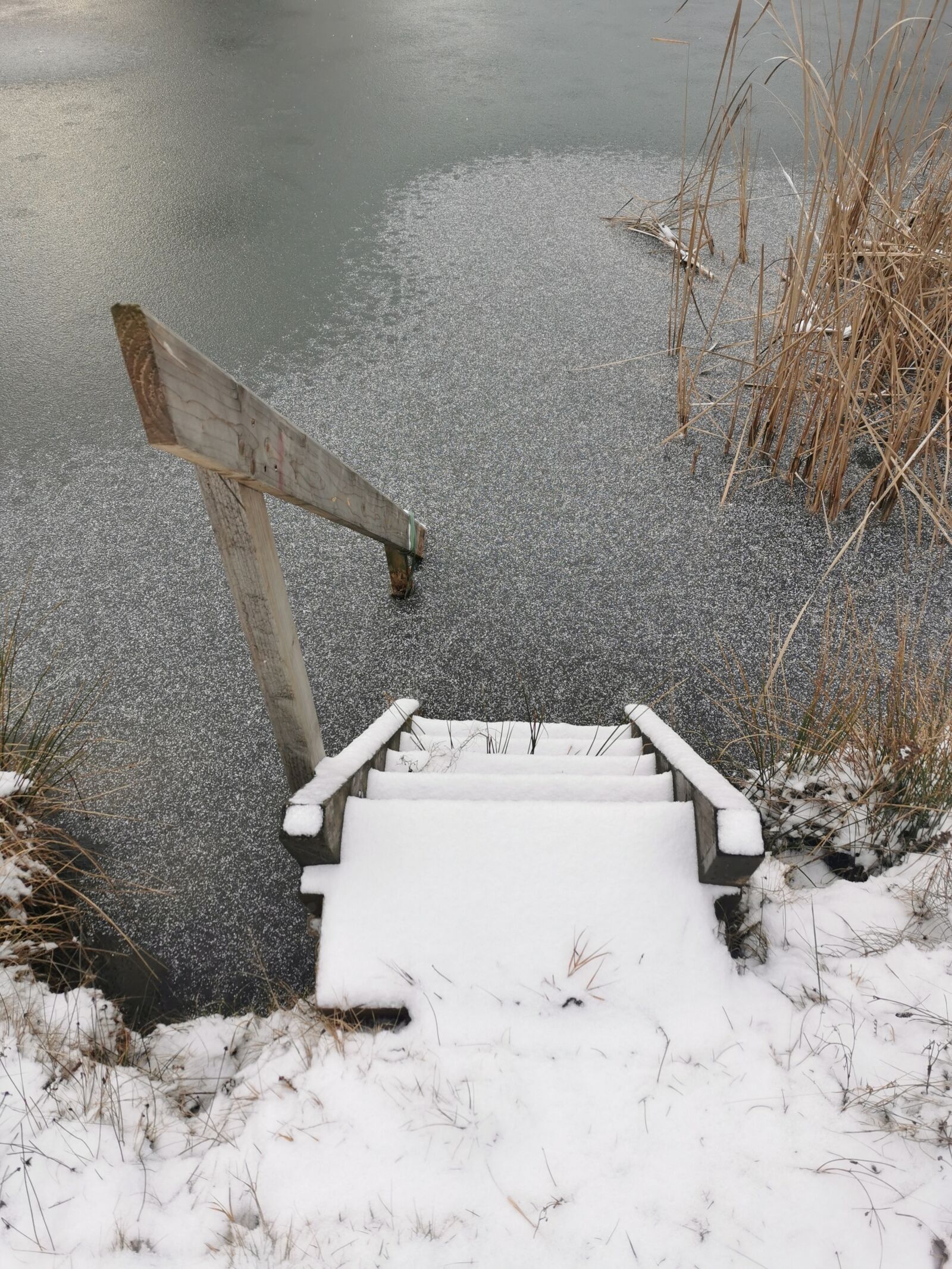 HUAWEI P30 sample photo. Head, pond, ice photography