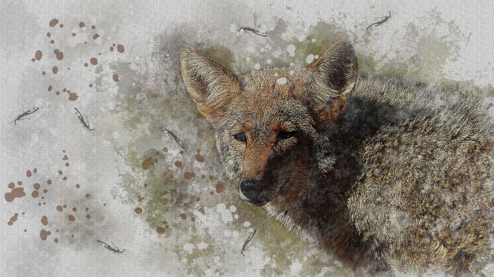 Panasonic Lumix DMC-FZ200 sample photo. Watercolor, picture, fox photography