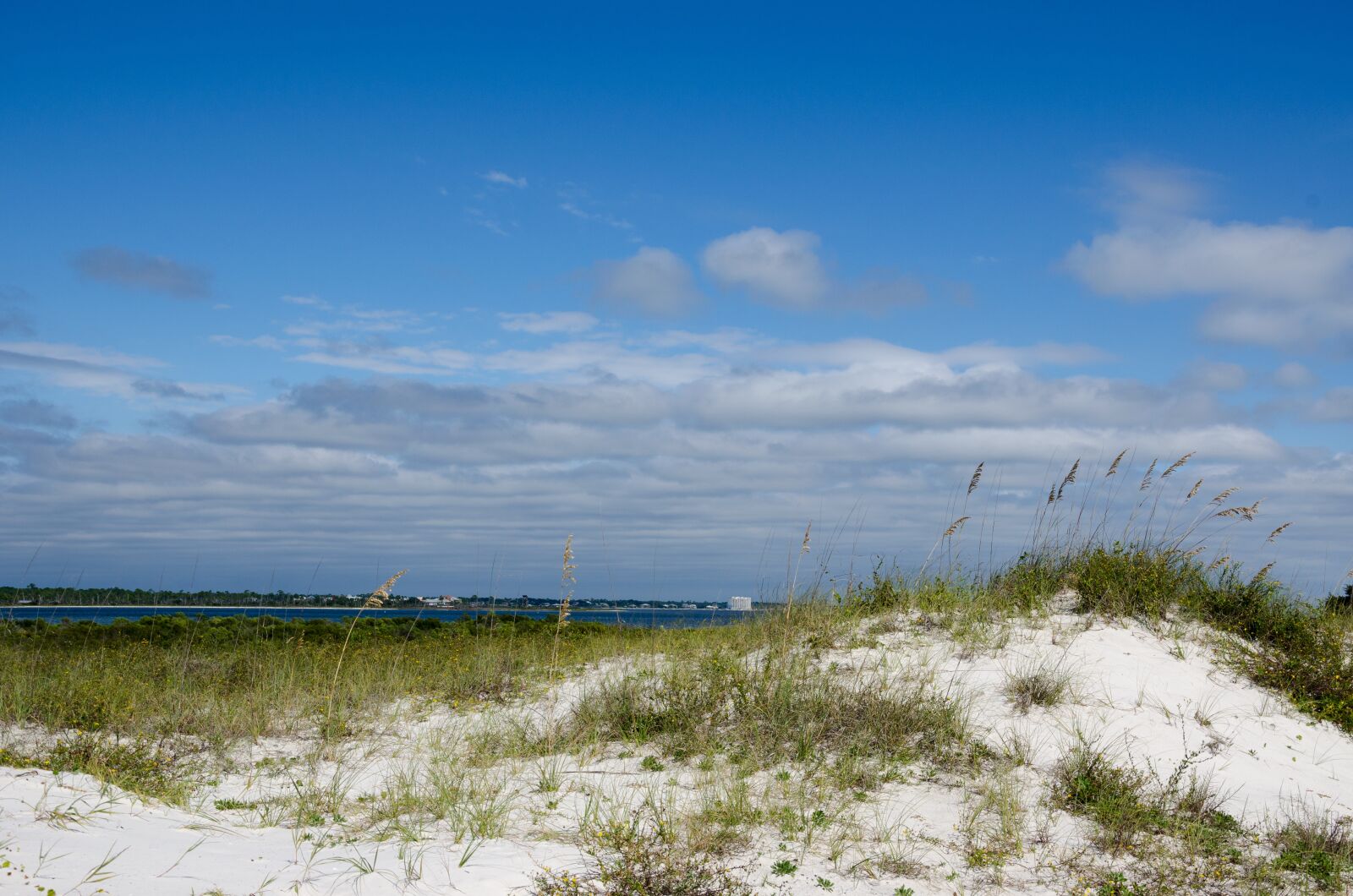 Nikon D5100 sample photo. Beach, usa, america photography