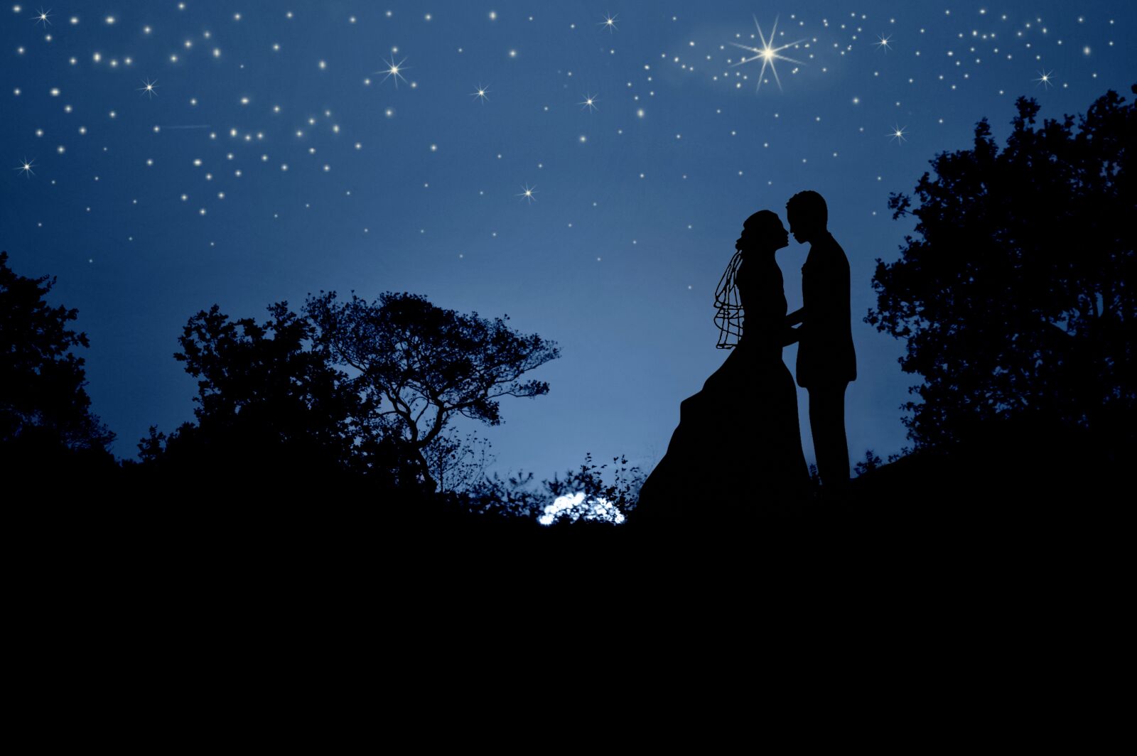 Nikon D3200 sample photo. Bride and groom, night photography